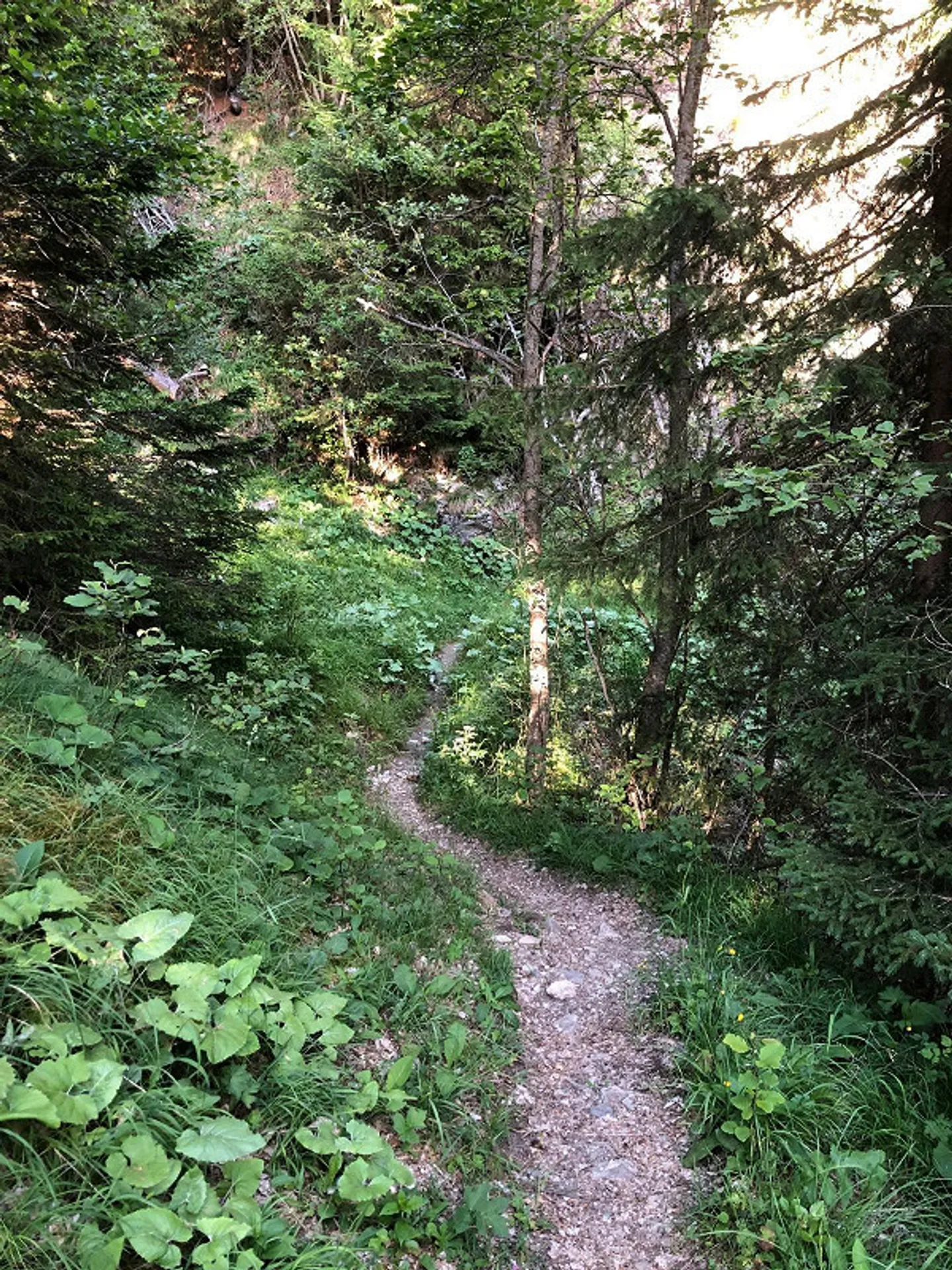 Charmante Maiensäss Hütte - Foto 21 von 21