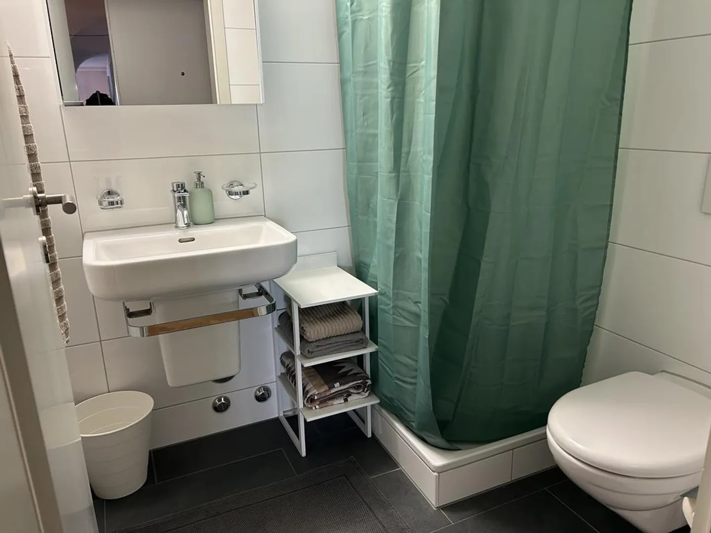 Stylisches Loft nahe Sihl City - Foto 8 von 9