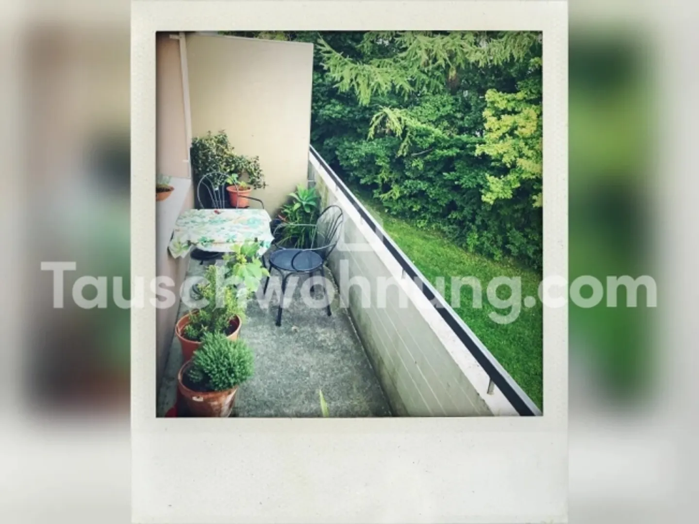 APPARTAMENTO IN SCAMBIO Appartamento 1 stanza, 40m2 - grande balcone, luminoso, 2° piano - Foto 10 di 10