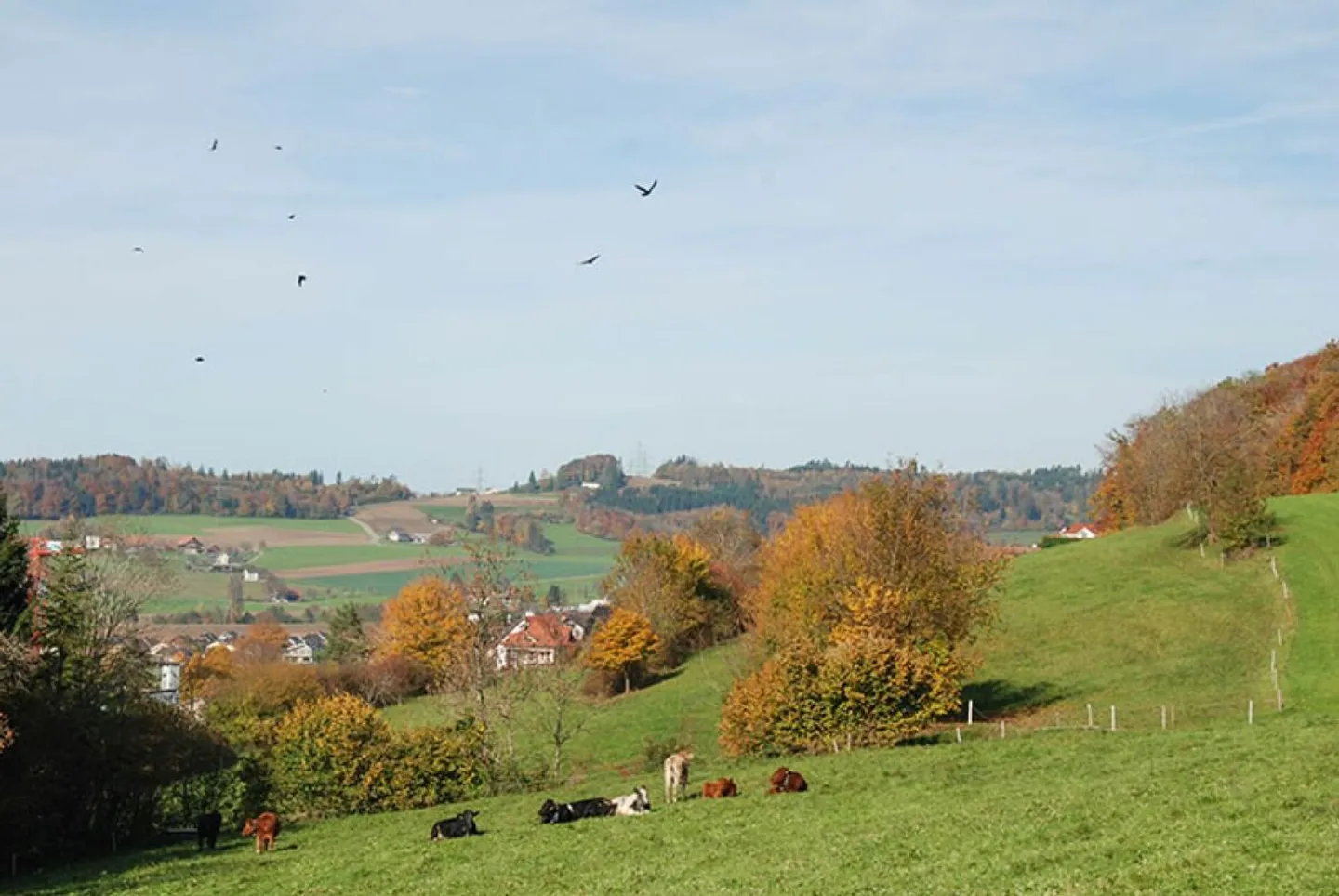 Einzigartige Maisonette mit Alpenblick - Foto 12 von 13