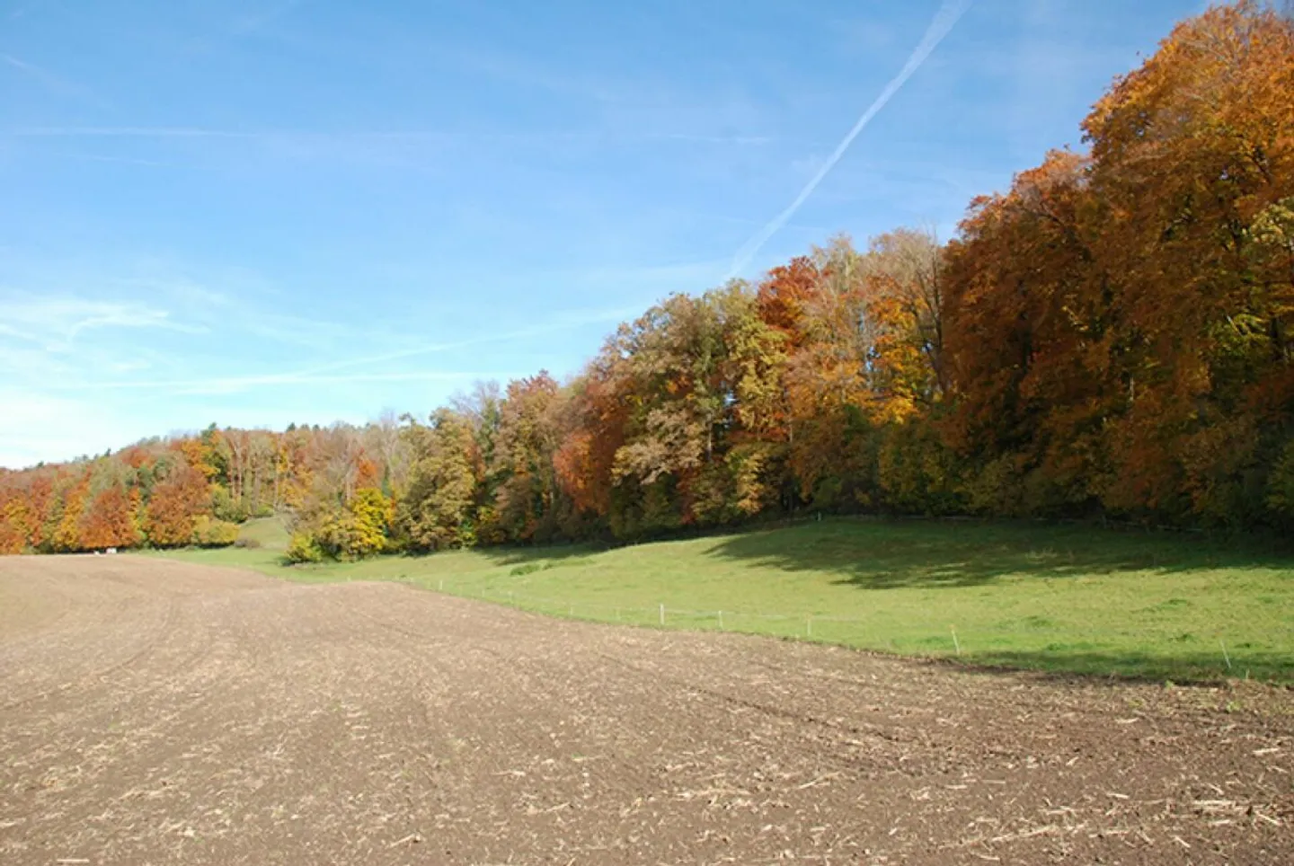 Einzigartige Maisonette mit Alpenblick - Foto 13 von 13