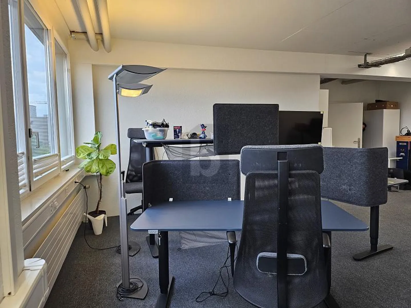 UFFICIO LUMINOSO CON ACCESSO OTTIMALE - Foto 3 di 6