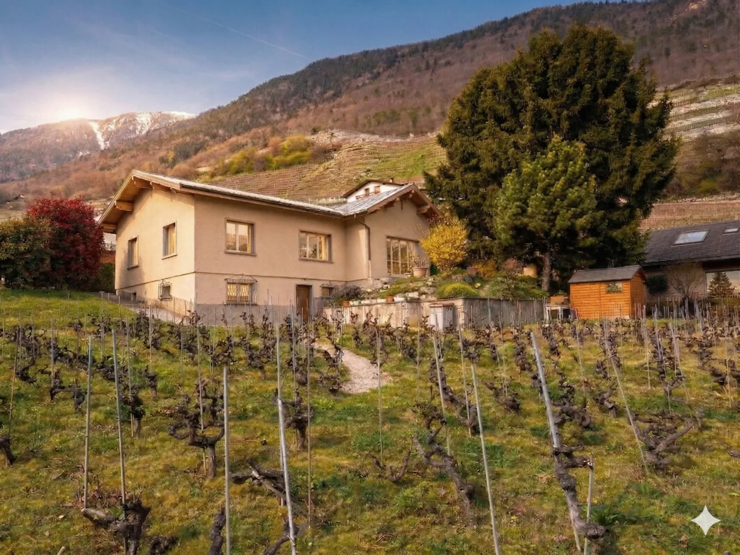 Grande casa con giardino a Martigny! Terreno edificabile! - Foto 1 di 13