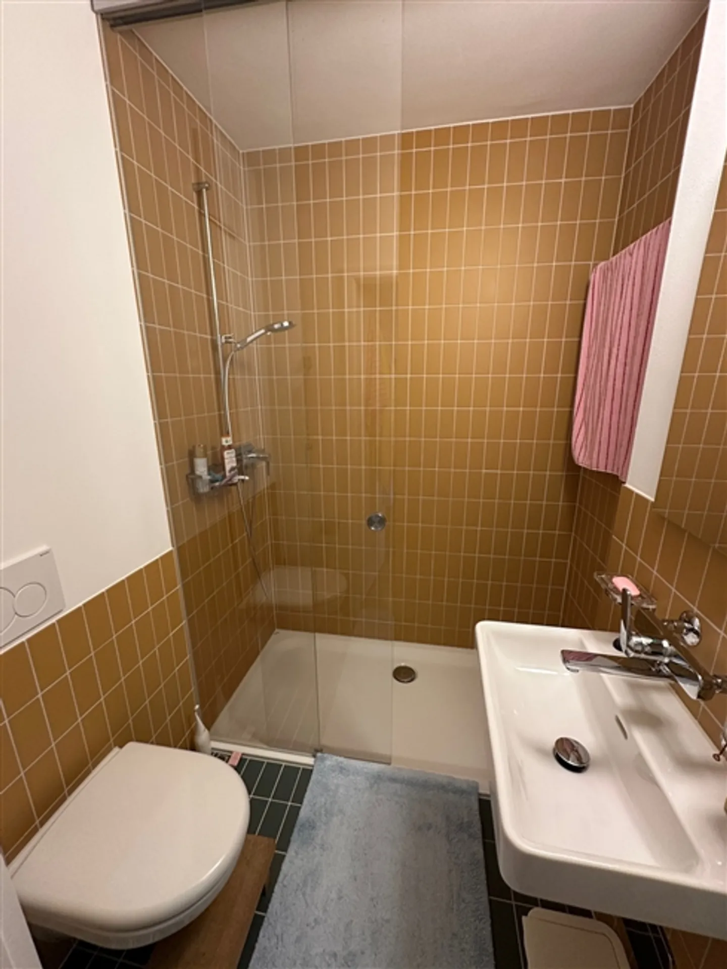 Appartement meublé à Zug - Photo 9 sur 9