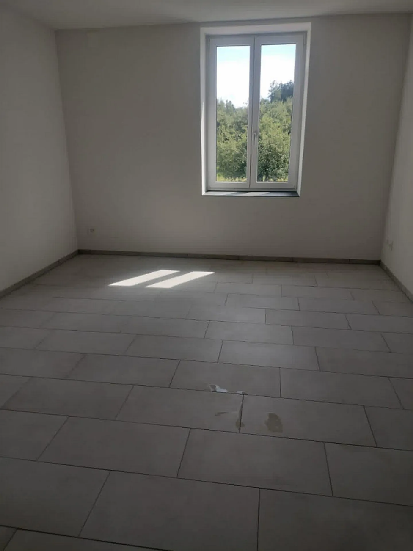 Ampio appartamento di 5,5 stanze nel verde - Foto 2 di 8