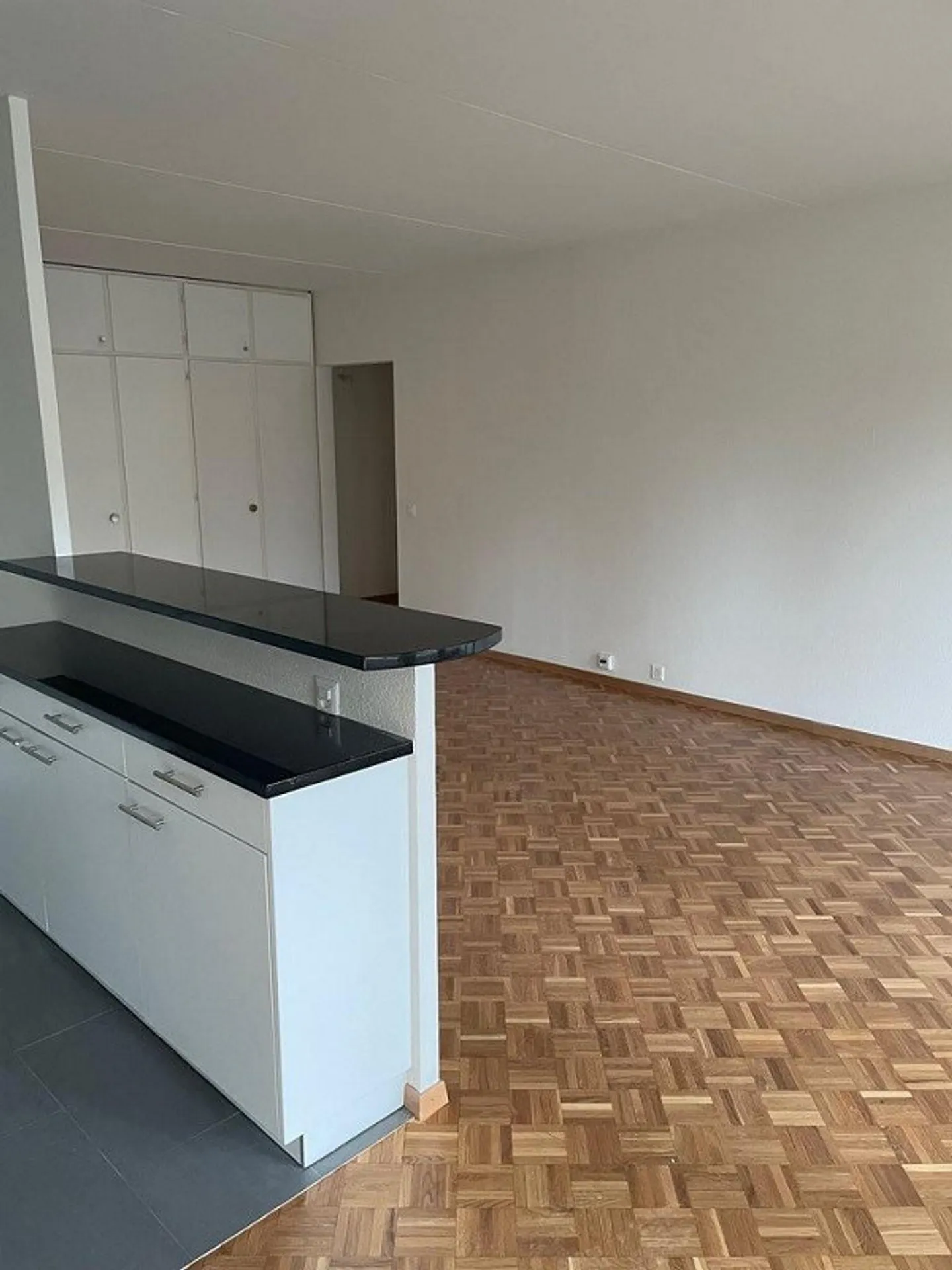 Appartement lumineux à Chêne-Bougeries - Photo 4 sur 12
