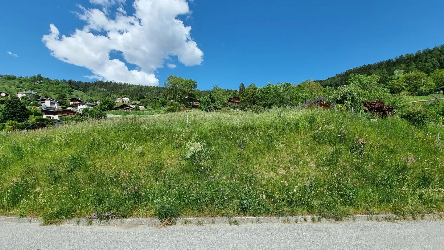Building Land - 809 m2 - Icogne - EXCLUSIVITY - Ref. 10245445 - Photo 6 of 7