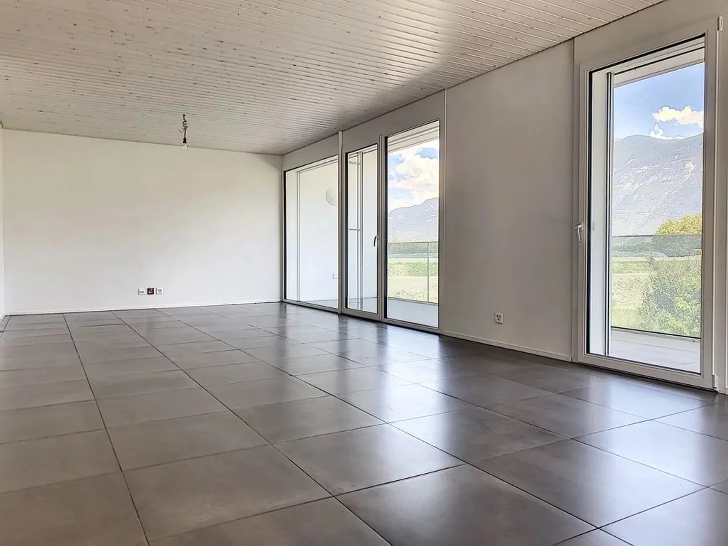 Appartement 4.5 pièces - Photo 4 sur 12