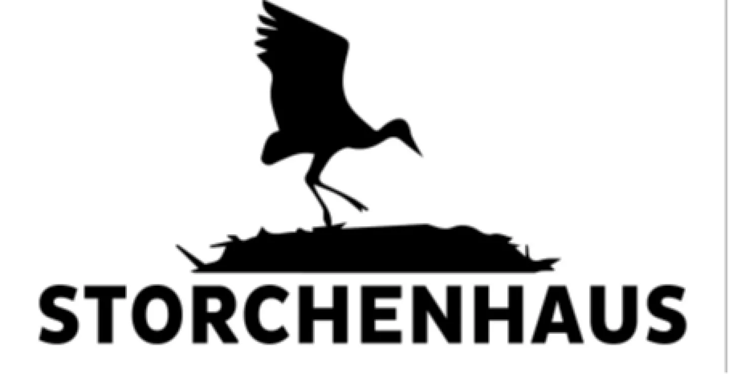 Spacious 4.5-room apartment (including carport & parking space) - Photo 14 of 14