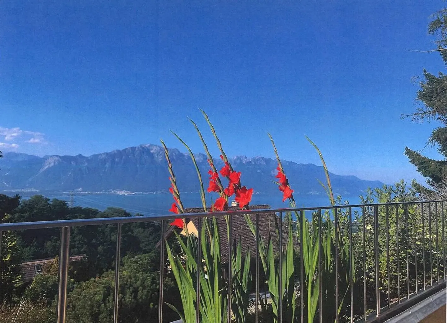 Prächtige 7,5-Zimmer-Villa - Foto 2 von 13