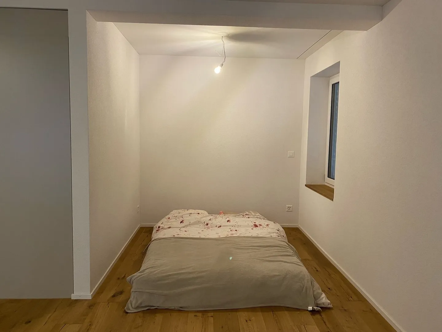 Appartamento singolo accogliente in affitto - Foto 5 di 5