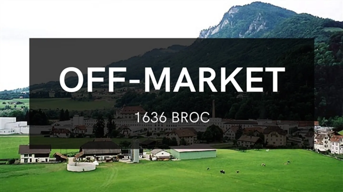 Chalet mit Grundstück in der Schweiz - Foto 1 von 1