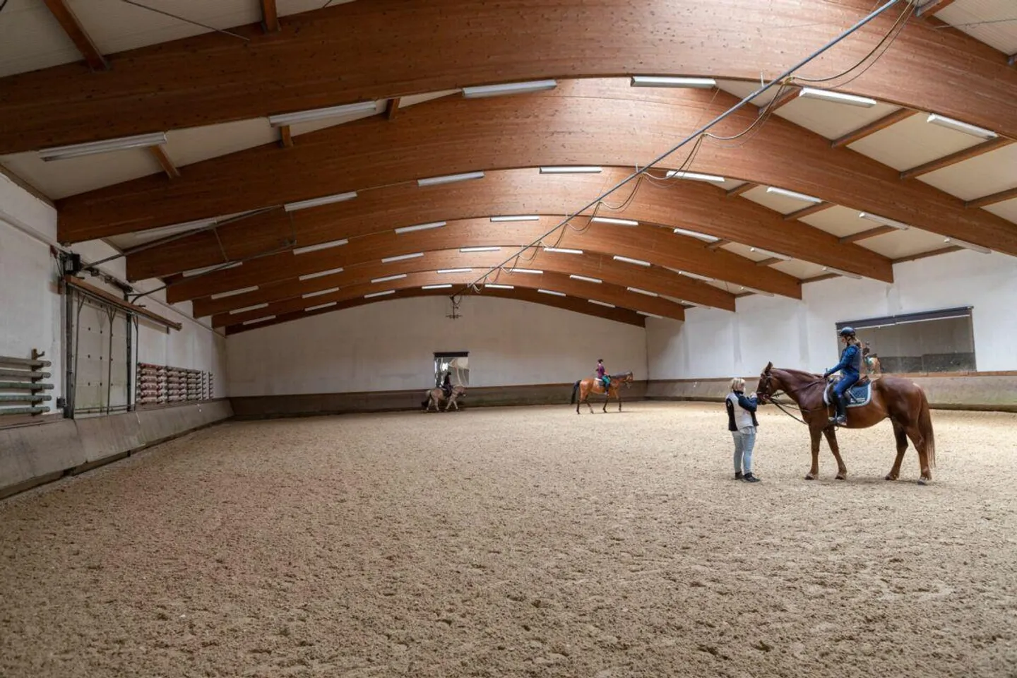 Reitsportimmobilie mit Wohnung/Einzelzimmer und Reitalle - Photo 1 of 6