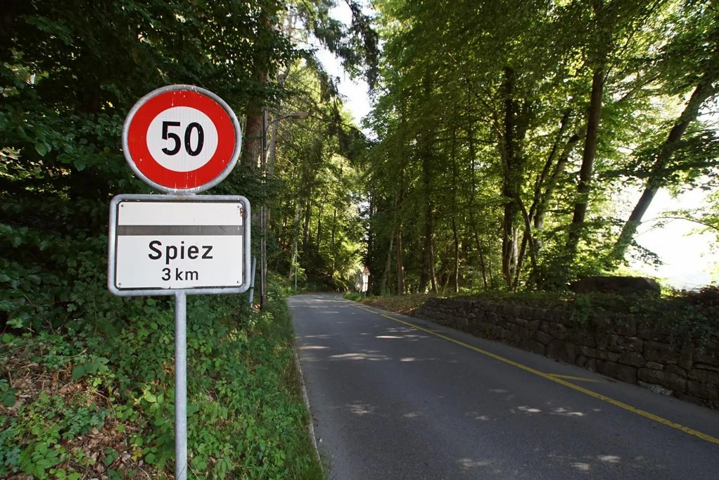 Neubauprojekt "Beim Niesen" - Ihr Haus - In 4 Minuten am Bahnhof Sp... - Foto 10 von 13