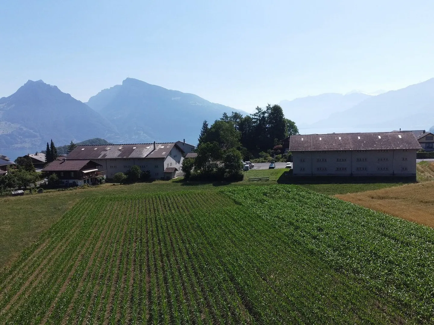 Neubauprojekt "Beim Niesen" - Ihr Haus - In 4 Minuten am Bahnhof Sp... - Foto 11 von 13