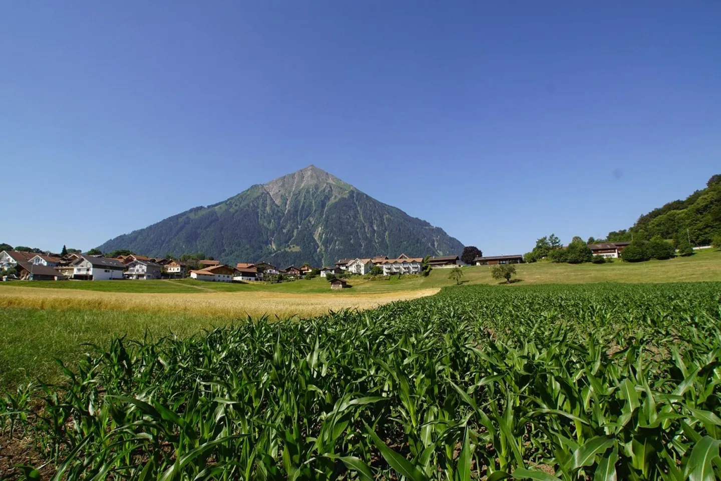 Neubauprojekt "Beim Niesen" - Ihr Haus - In 4 Minuten am Bahnhof Sp... - Foto 12 von 13