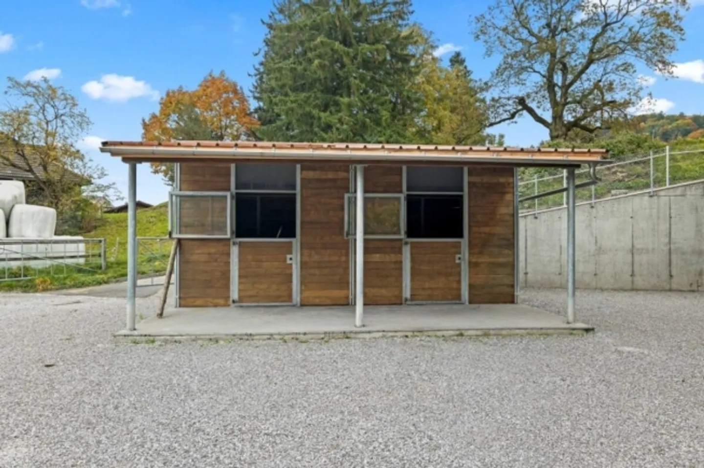 Paradiso dei cavalli nel Simmental - Oberland bernese - Foto 11 di 20