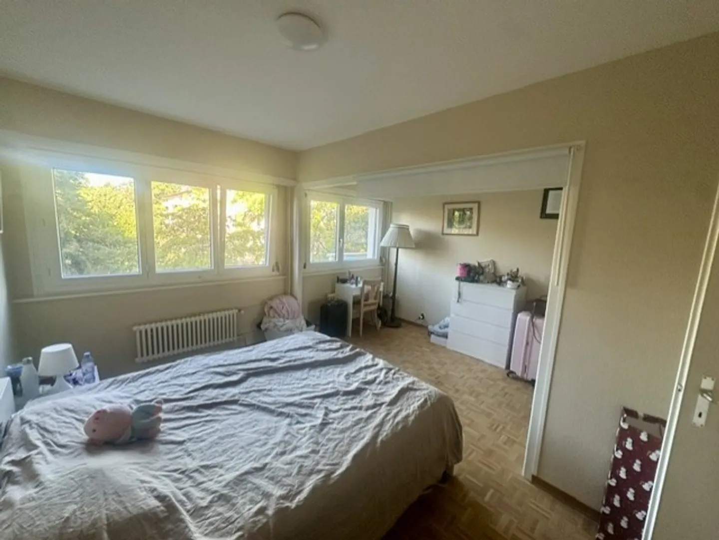 Bright crossing apartment, view of the Alps and lake. - Photo 5 of 10