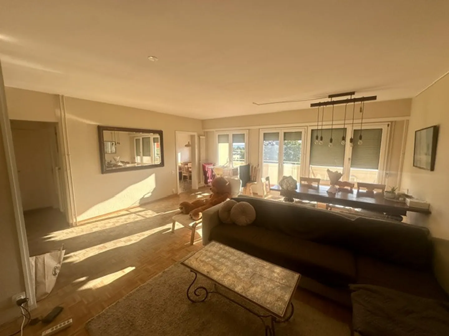 Bright crossing apartment, view of the Alps and lake. - Photo 7 of 10