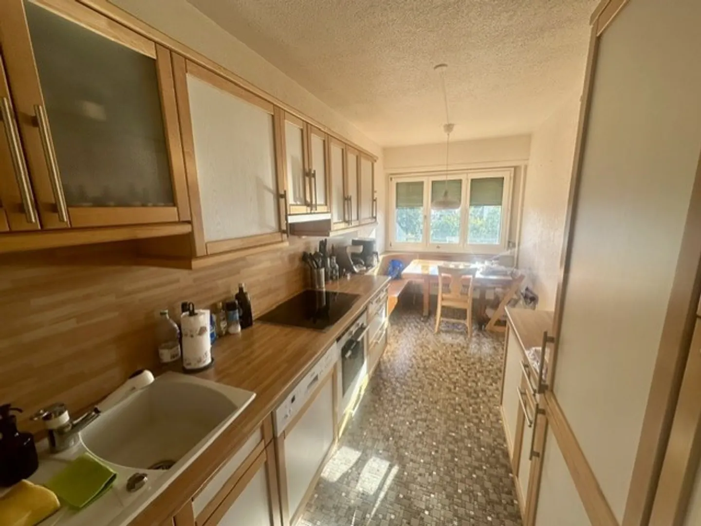 Bright crossing apartment, view of the Alps and lake. - Photo 9 of 10