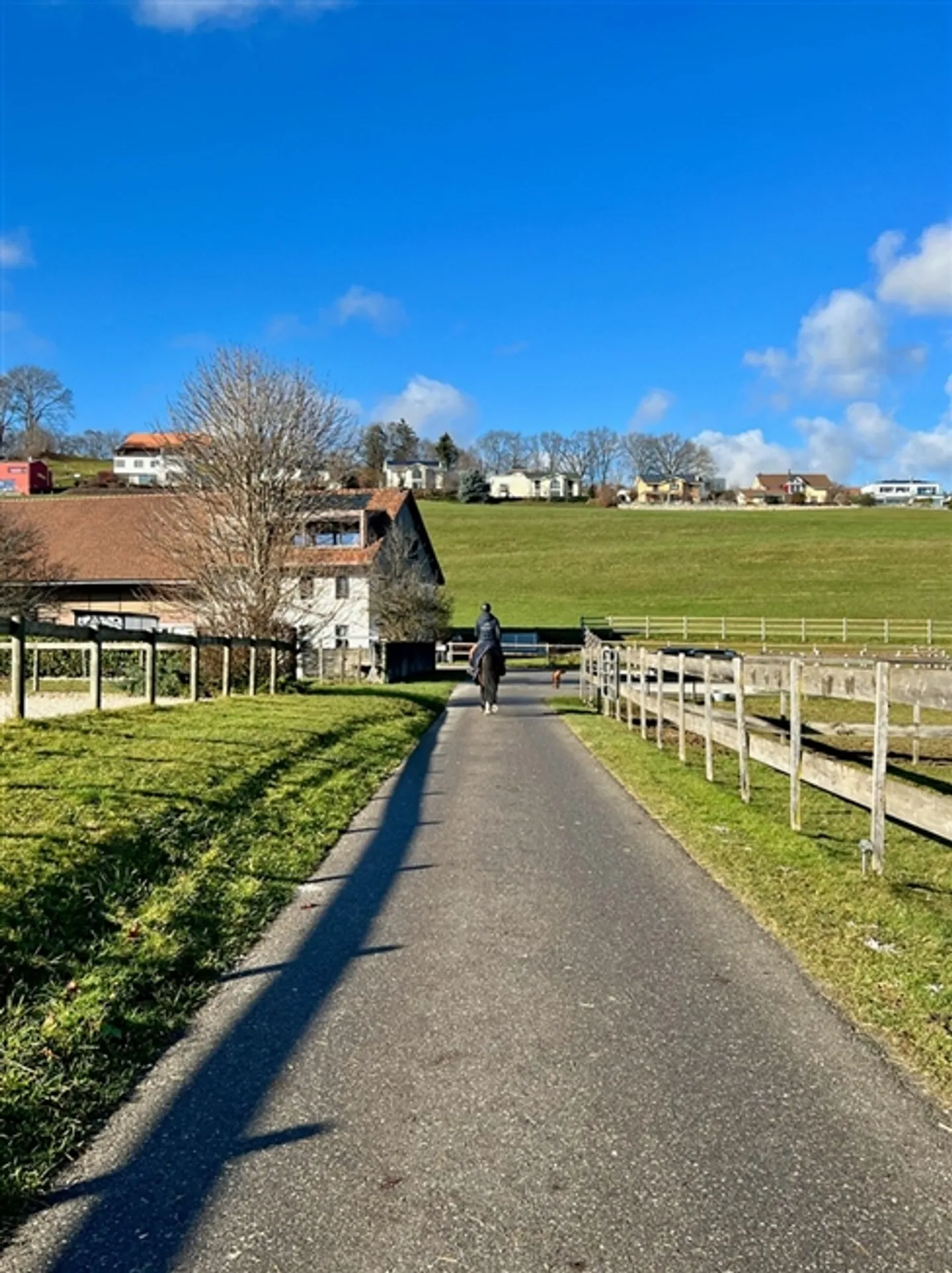 Riding School for Sale in the Canton of Fribourg - Photo 1 of 2