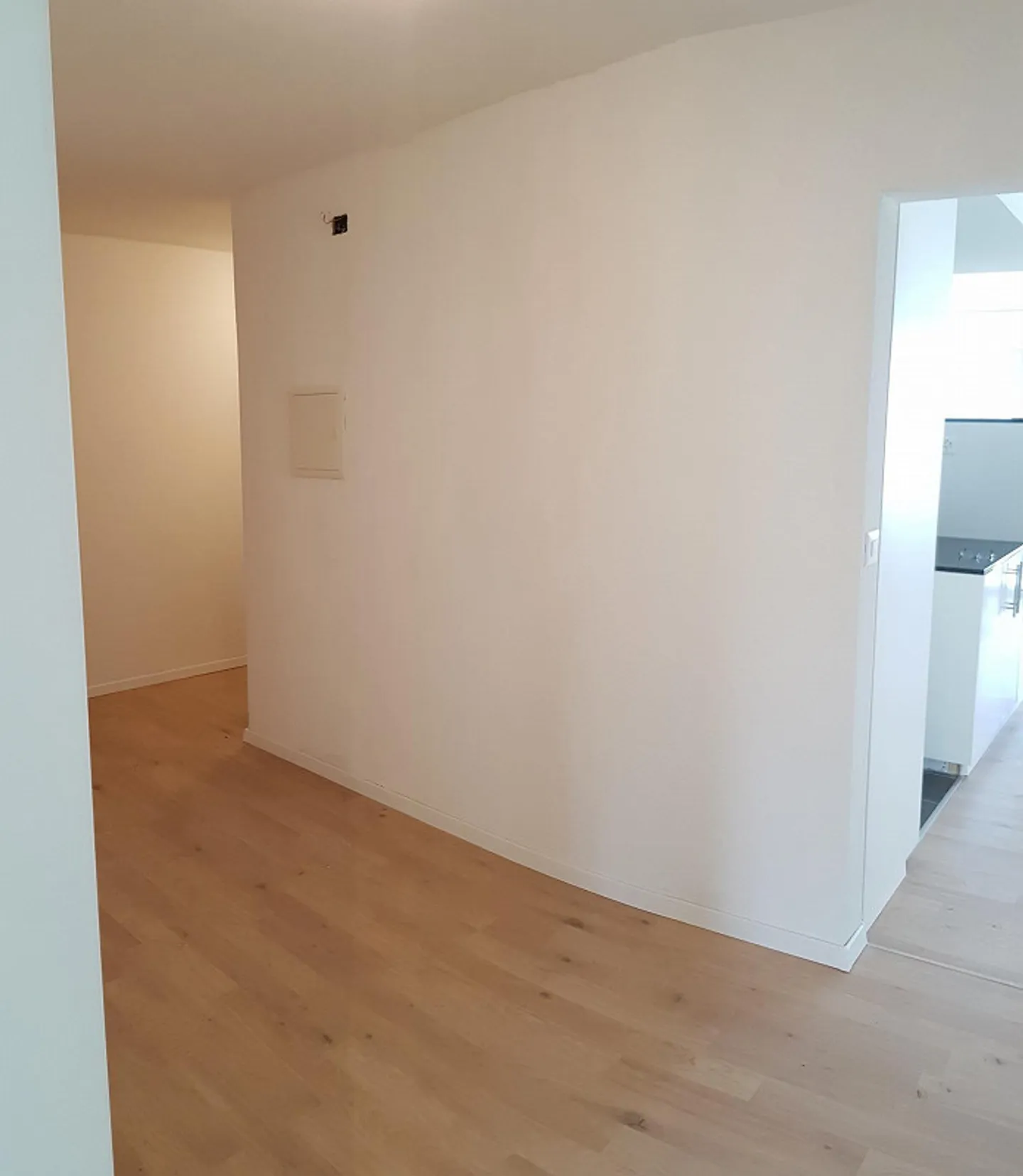 Vista montagna - Appartamento 4.5 locali con balcone a Eggersriet - Foto 5 di 7