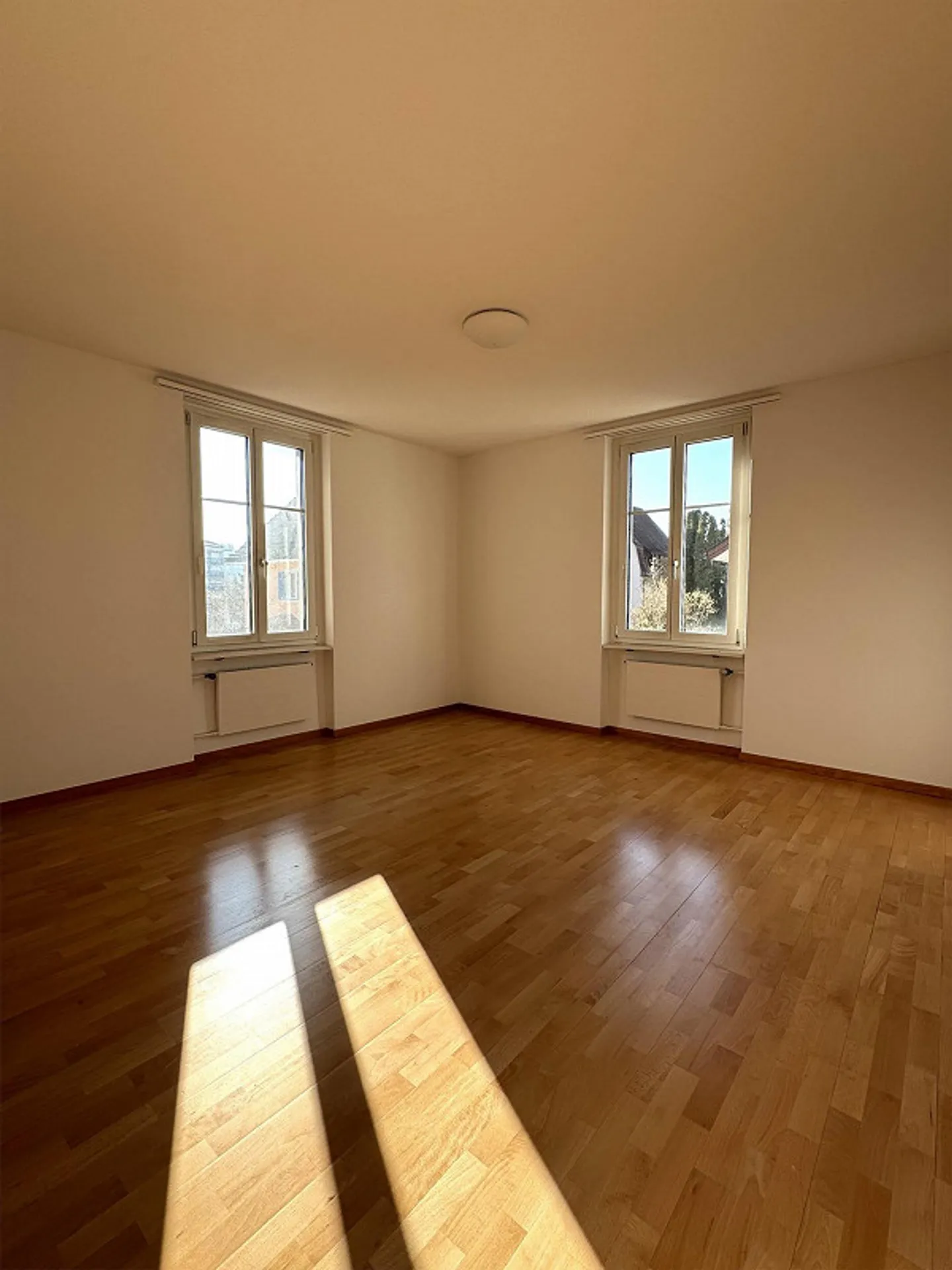 Affascinante casa unifamiliare a Winterthur - Foto 7 di 13