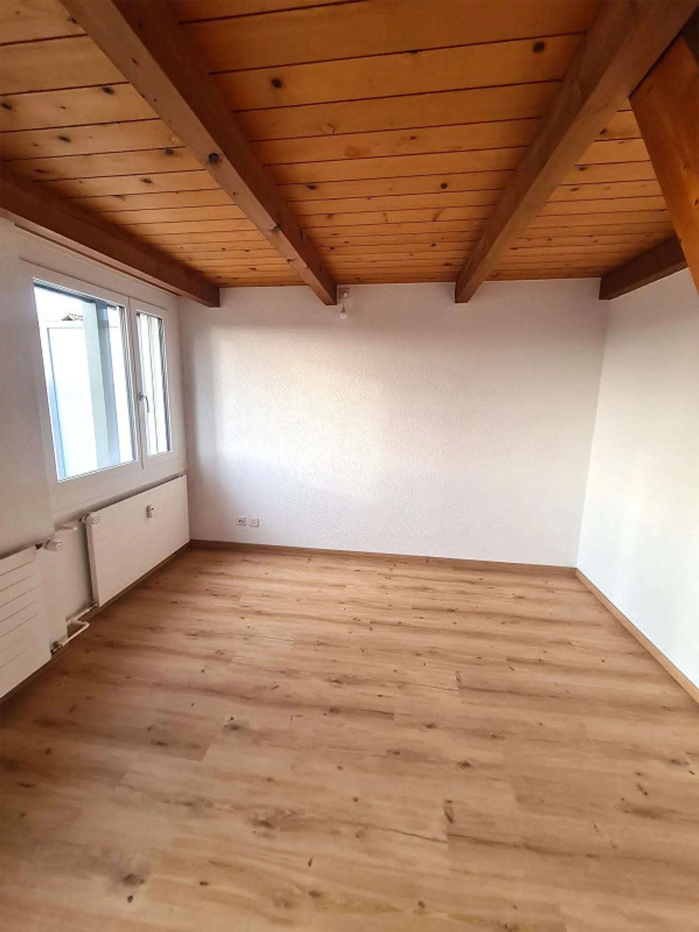 Rapporto qualità/prezzo attraente! - Foto 4 di 13