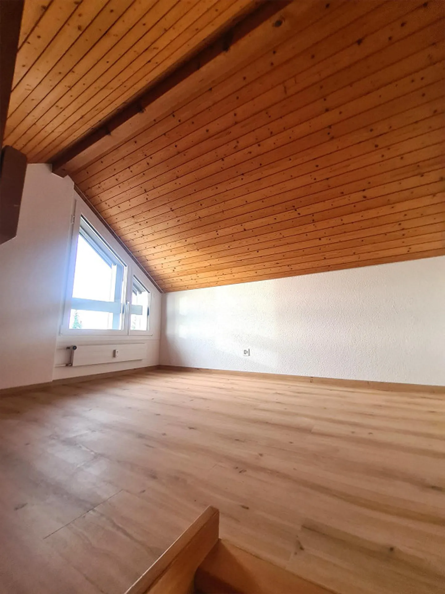 Rapporto qualità/prezzo attraente! - Foto 6 di 13