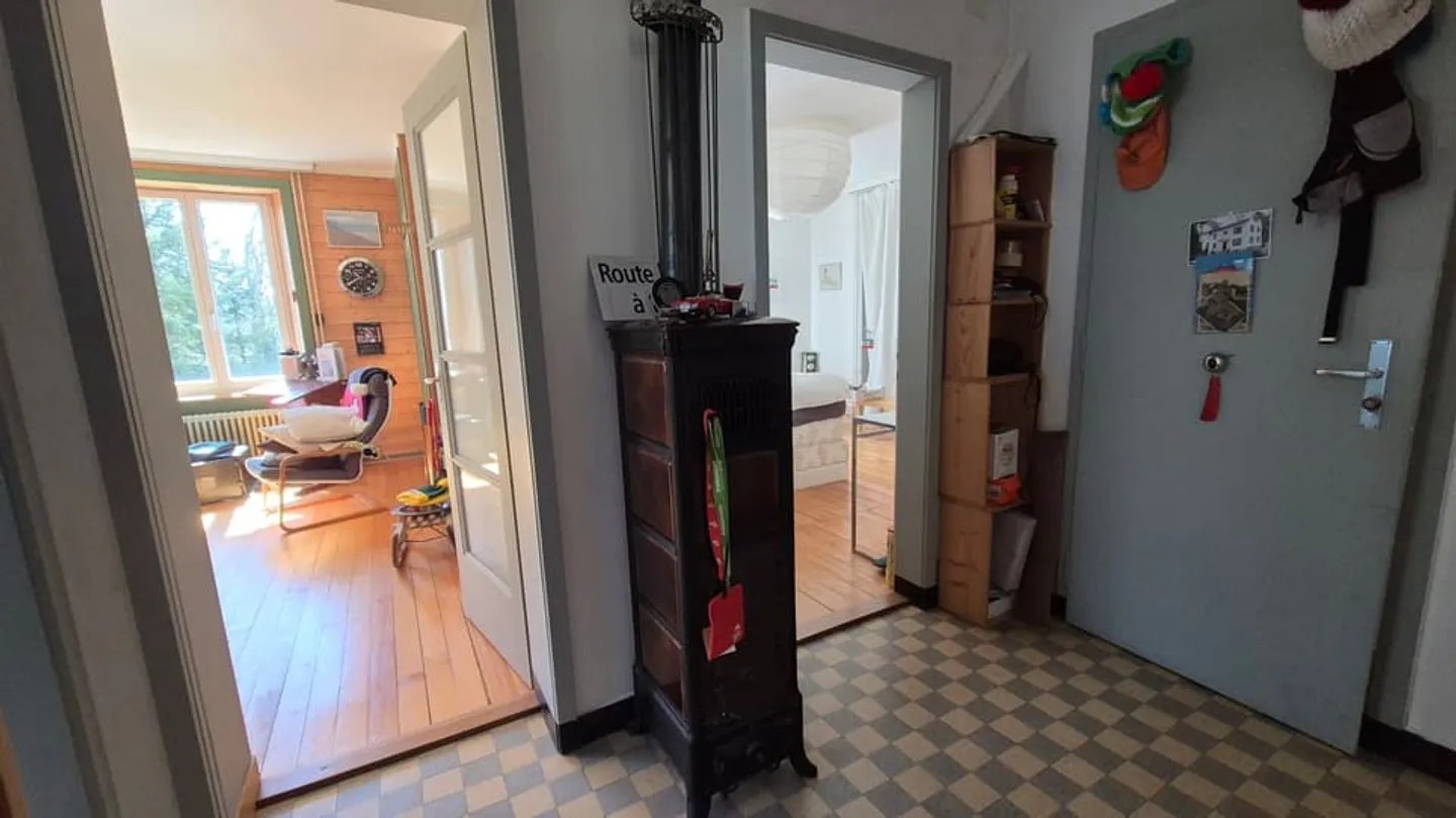 Nel cuore della natura, antica dogana di 3 appartamenti - Foto 12 di 13