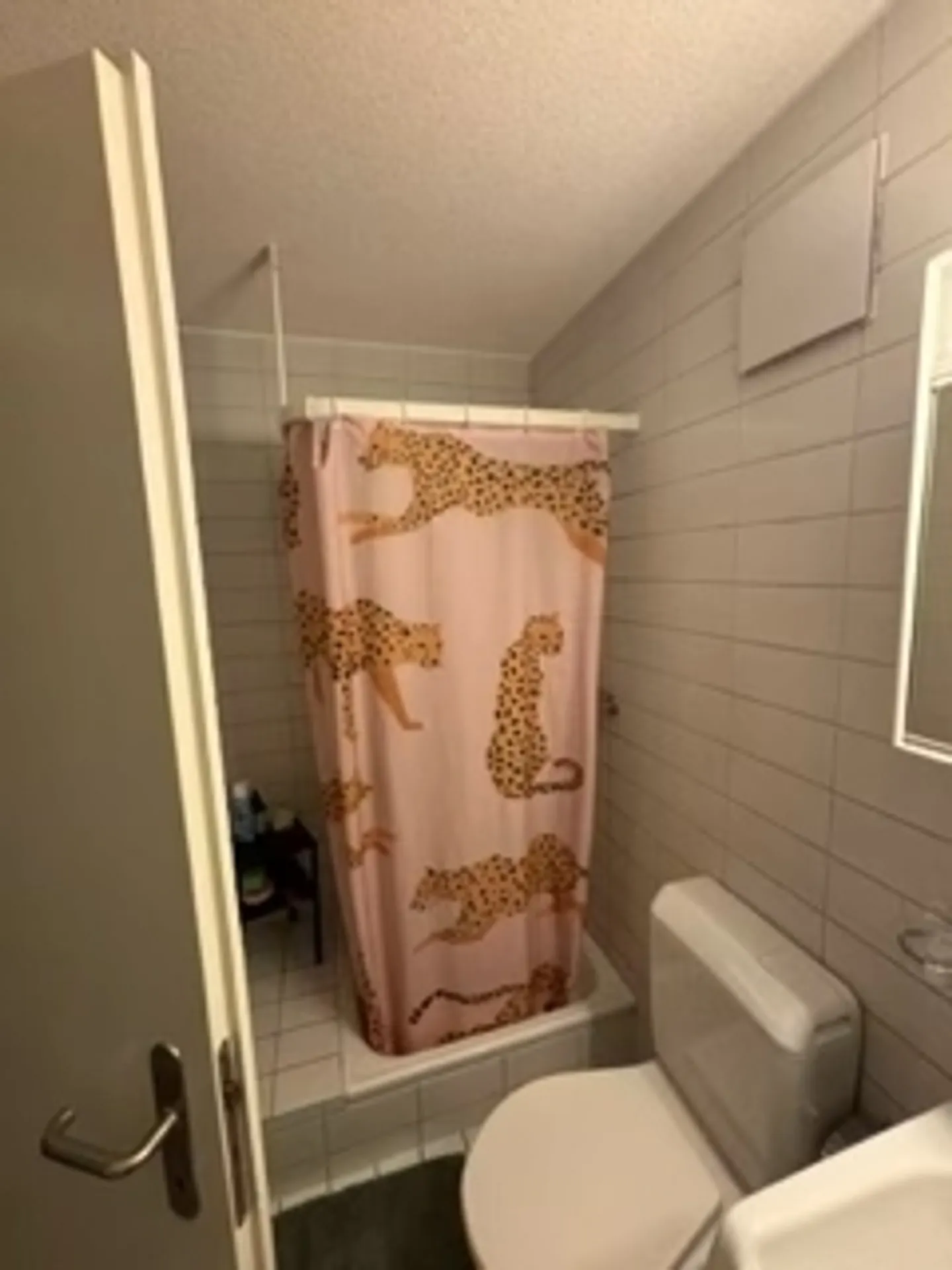 Charmante Erdgeschosswohnung - Foto 8 von 12