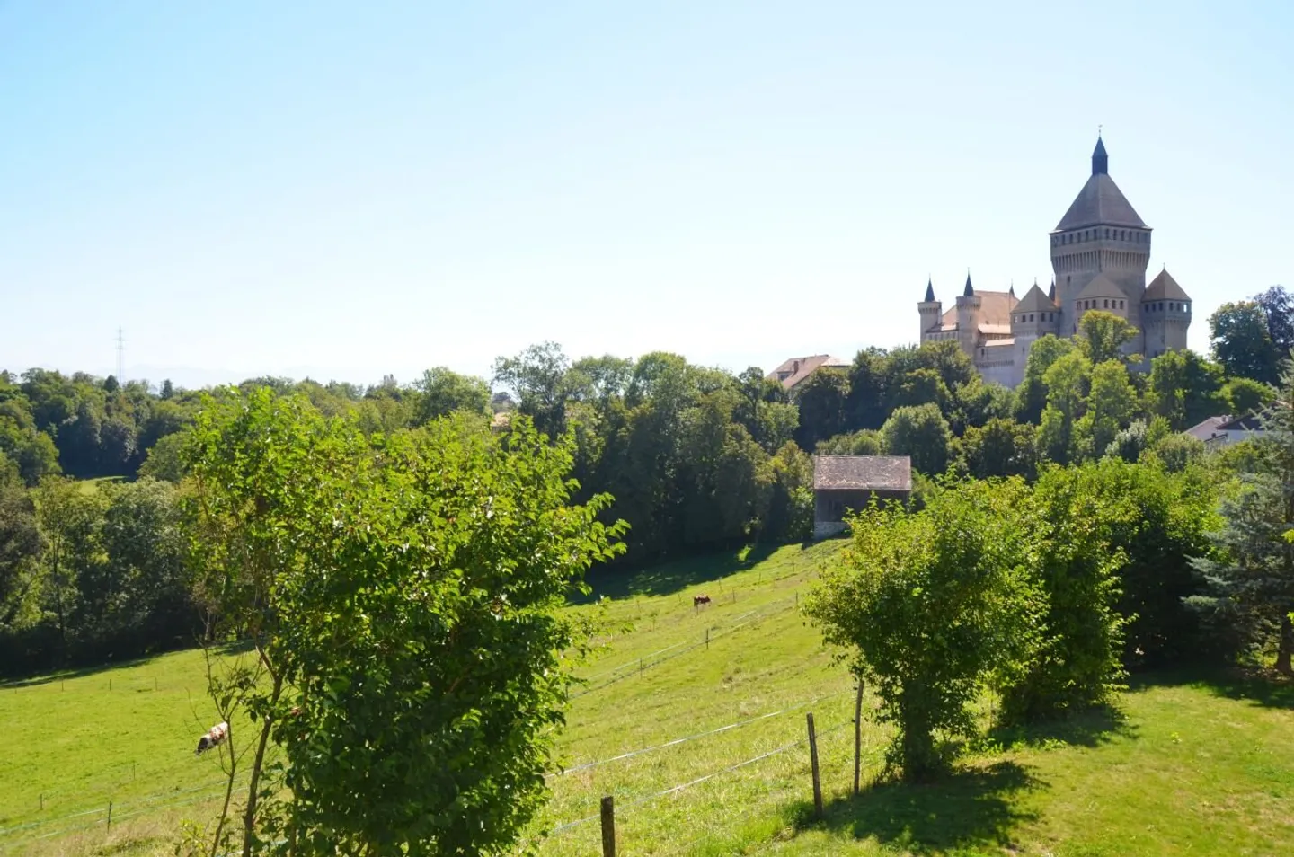 Prächtige Villa mit Pool und großem Garten in Vufflens-le-Château - Foto 13 di 13