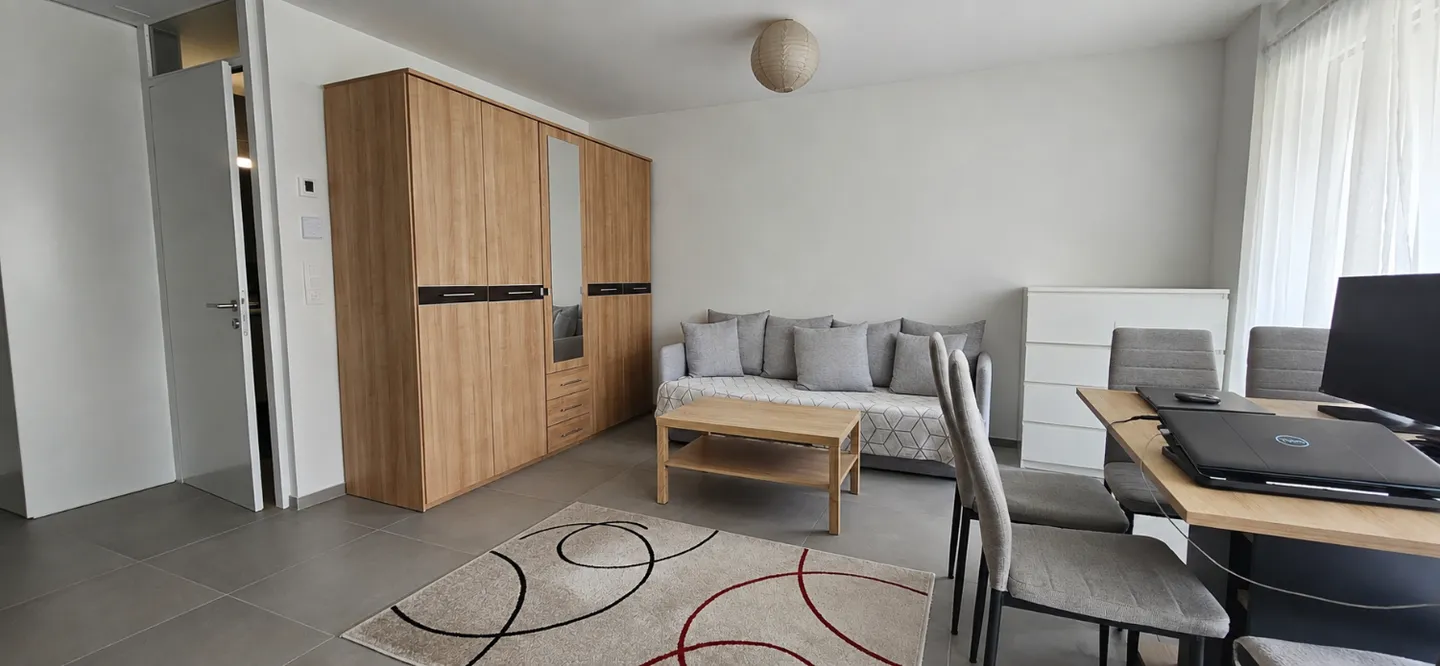 Studio von 37m² mit Balkon in Conthey - Foto 4 von 12
