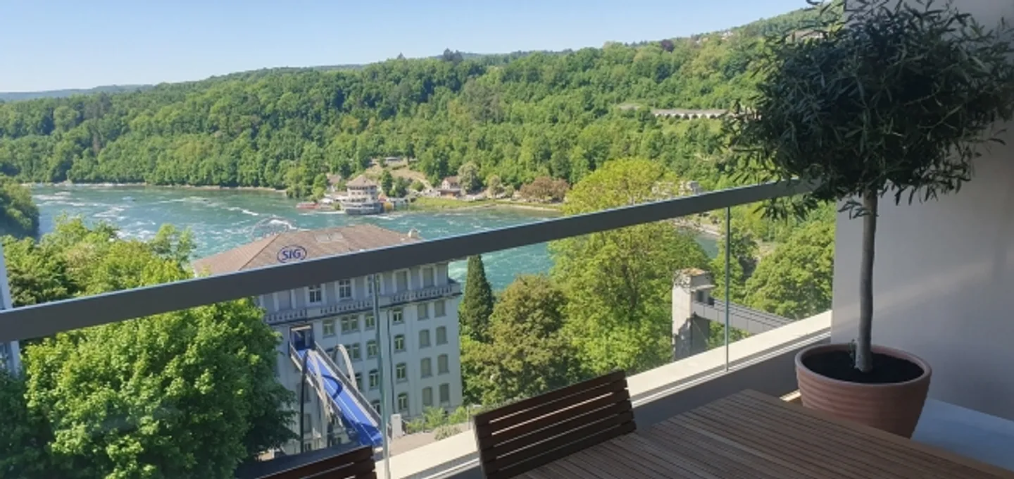 Appartement 4½ pièces à Neuhausen am Rheinfall (SH), meublé, temporaire - Photo 10 sur 10