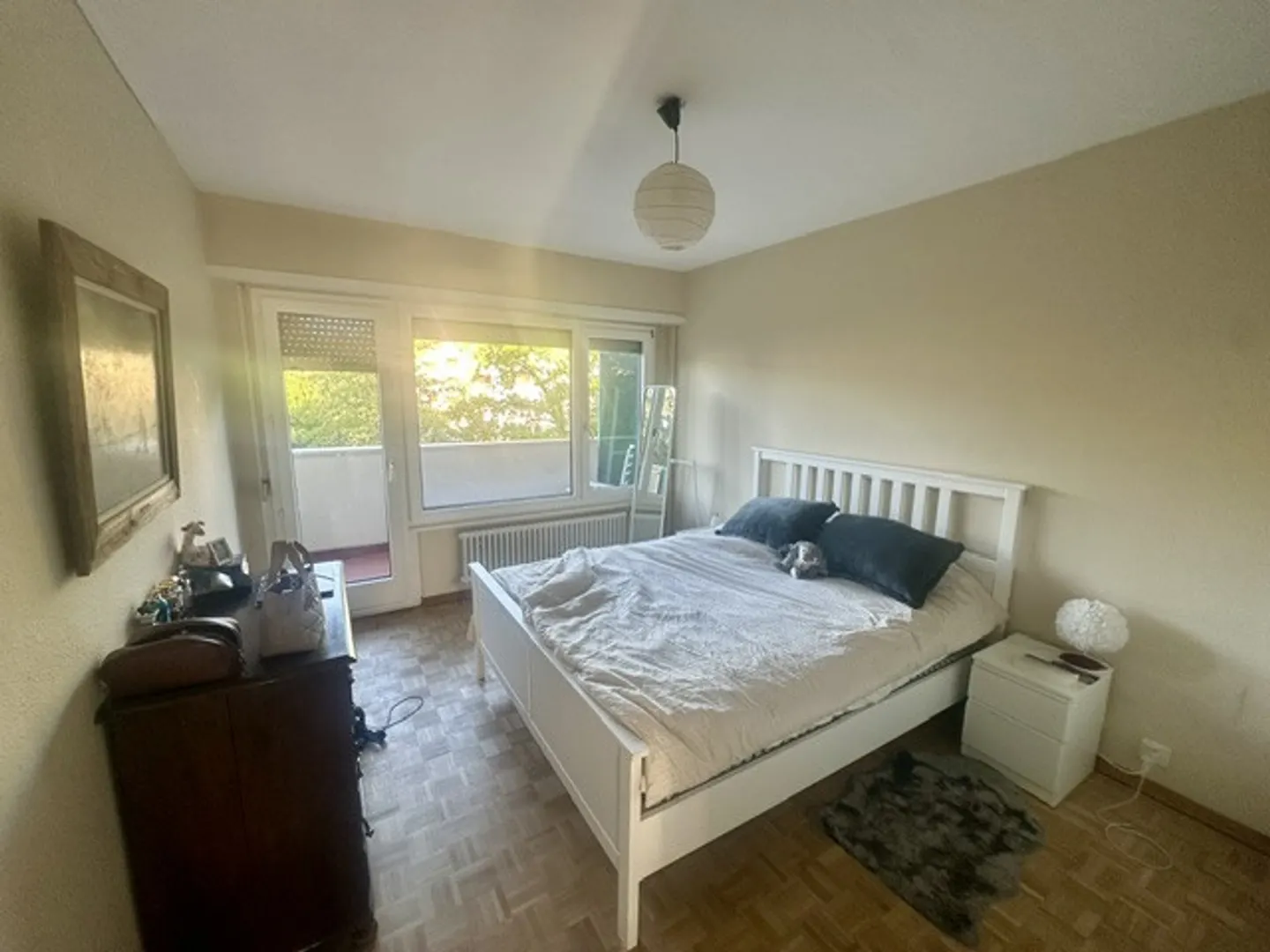 Bright crossing apartment, view of the Alps and lake. - Photo 3 of 10