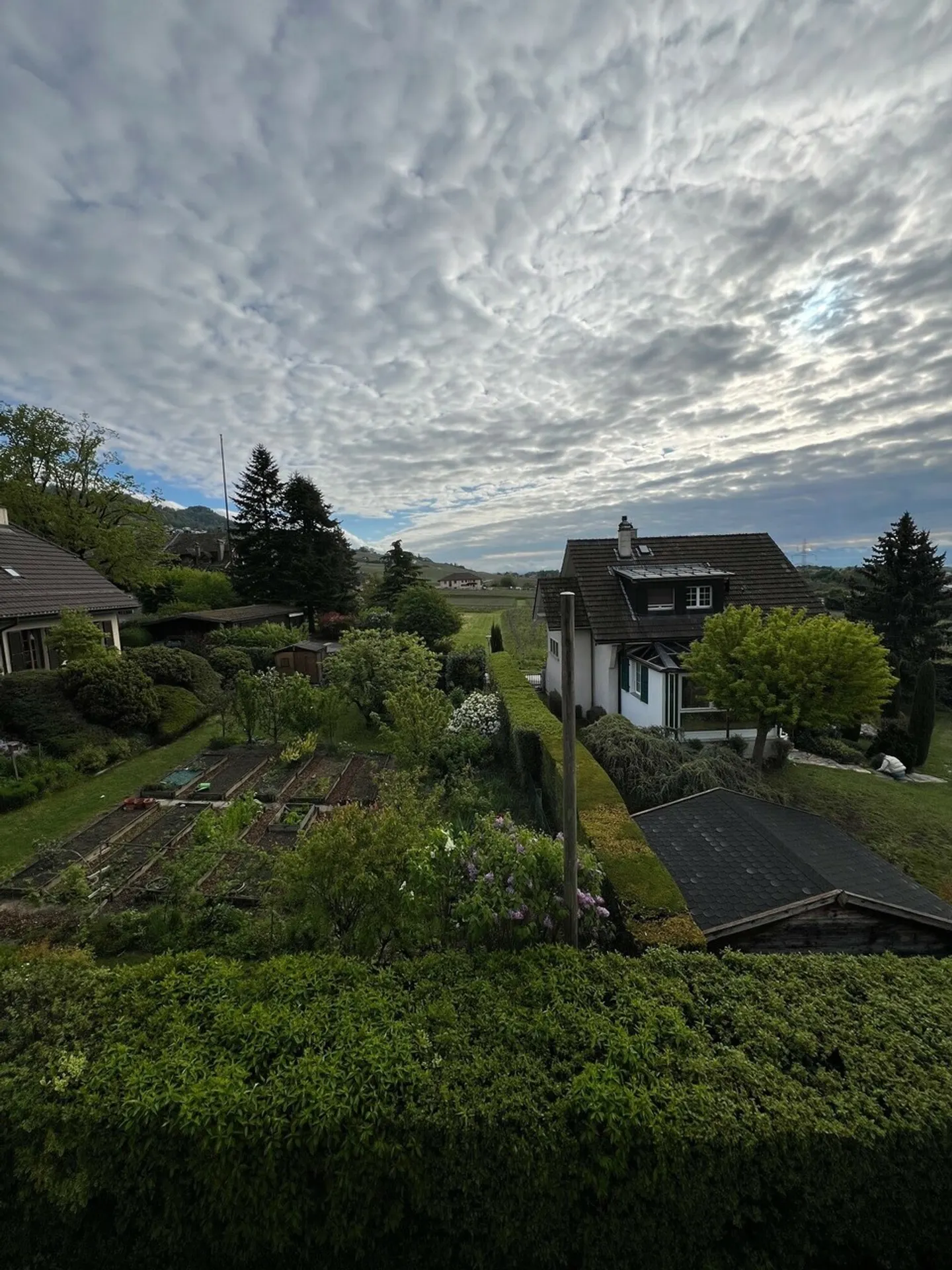 Villa a schiera - Foto 5 di 15