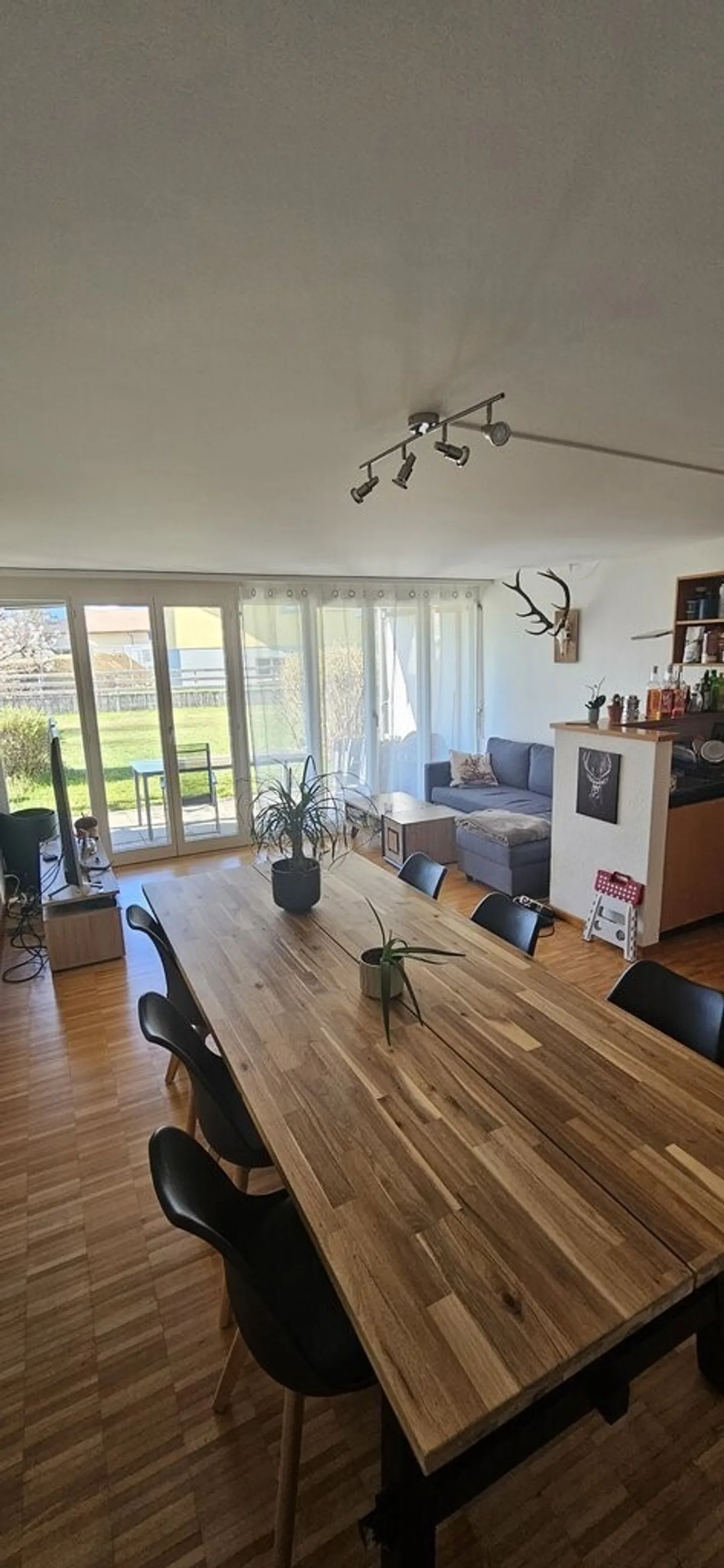 Charmante Wohnung in Ruhiger Lage - Foto 2 von 7