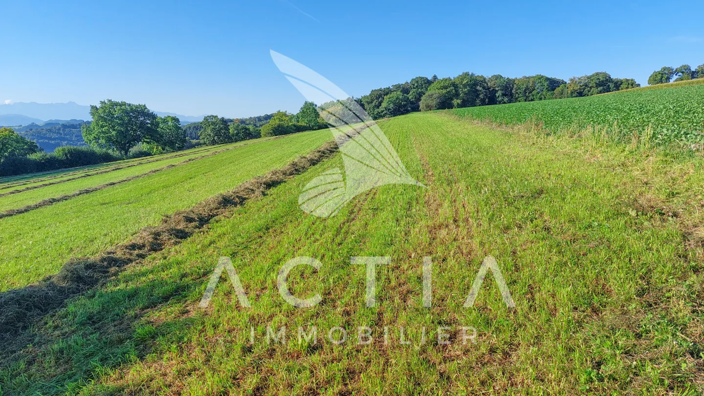 Large Crop Farming with Chicken Hall - Photo 11 of 15