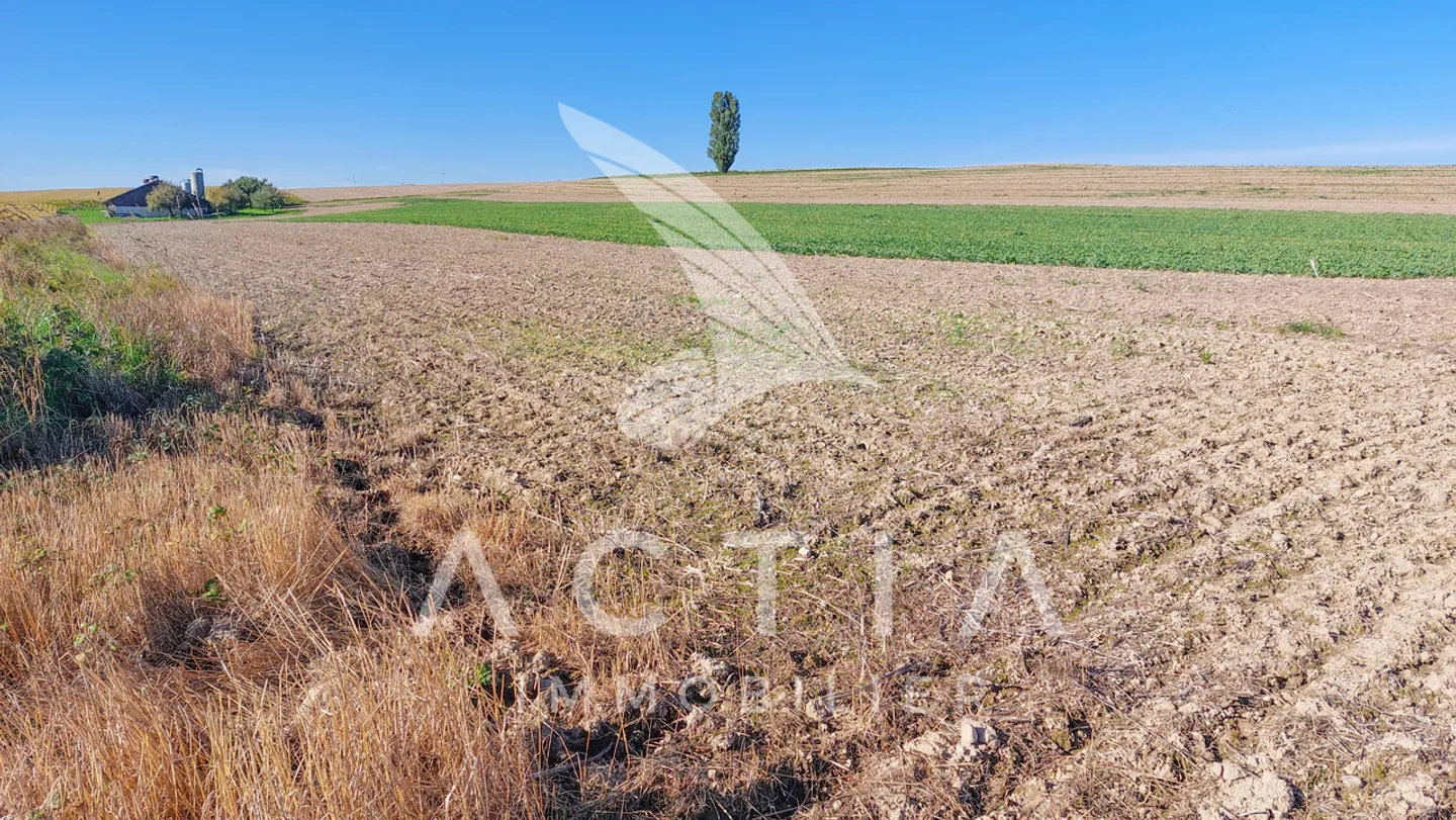 Large Crop Farming with Chicken Hall - Photo 9 of 15