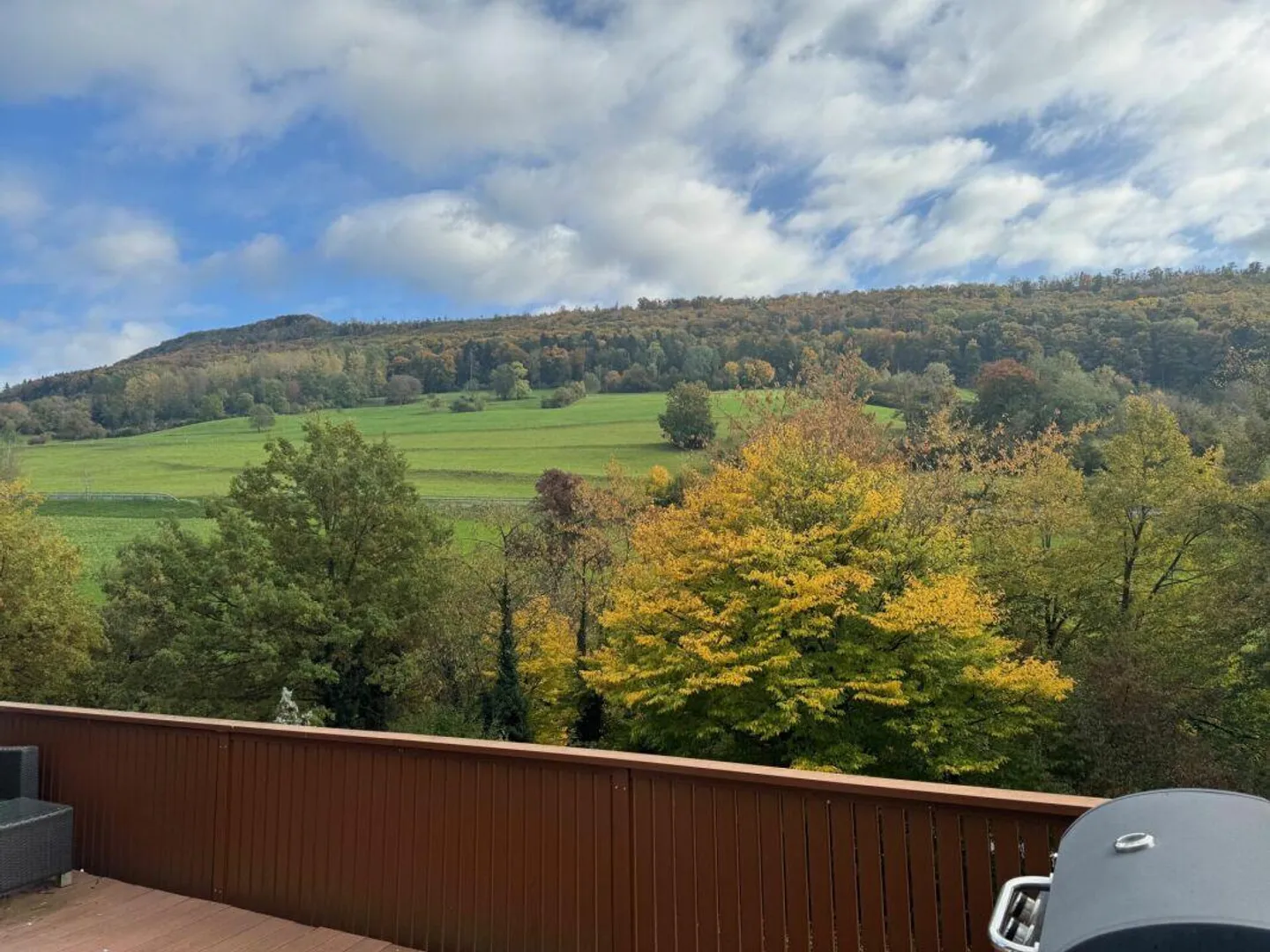 Maison 5.5 pièces élégante et charmante avec cheminée et belle ... - Photo 21 sur 22