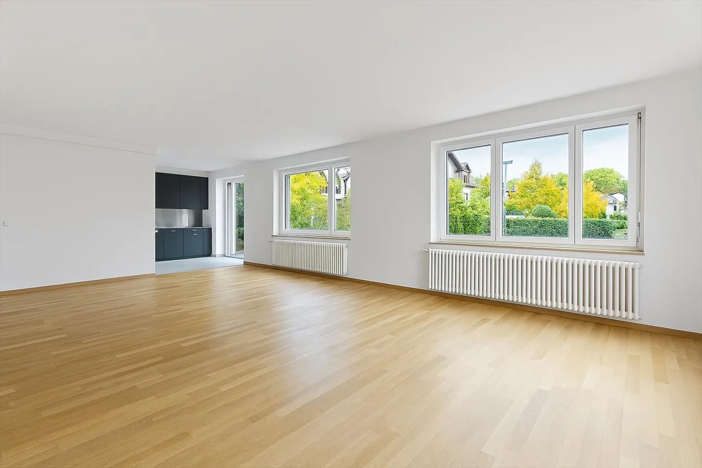 Appartement 4.5 pièces - Photo 4 sur 10