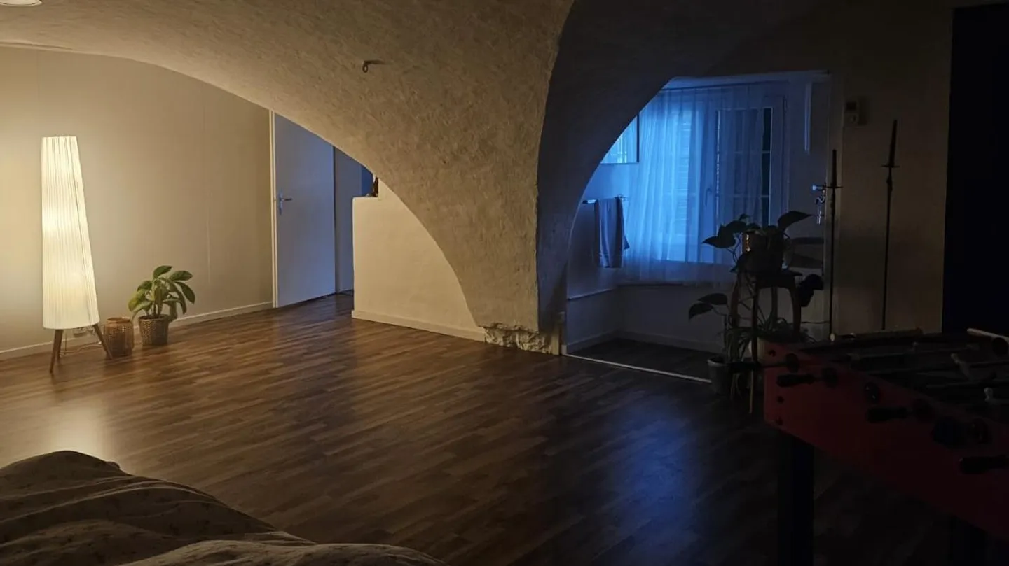 Charmante Maisonette in Wädenswil - Foto 8 von 9