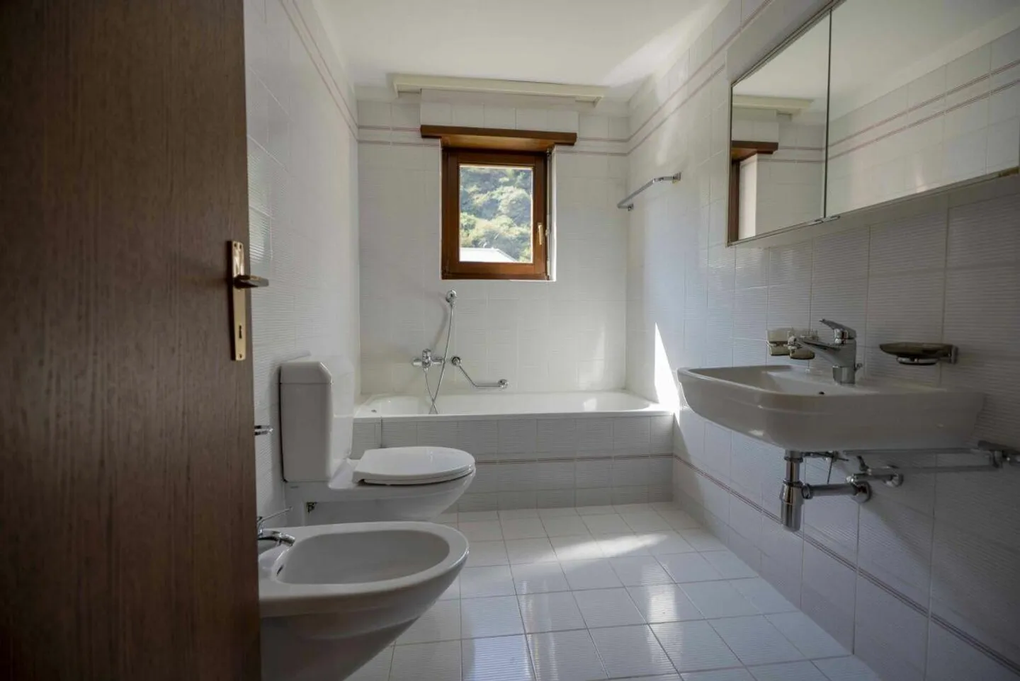 Gorduno: we sell beautiful income residence with three large apartments - Photo 19 of 20