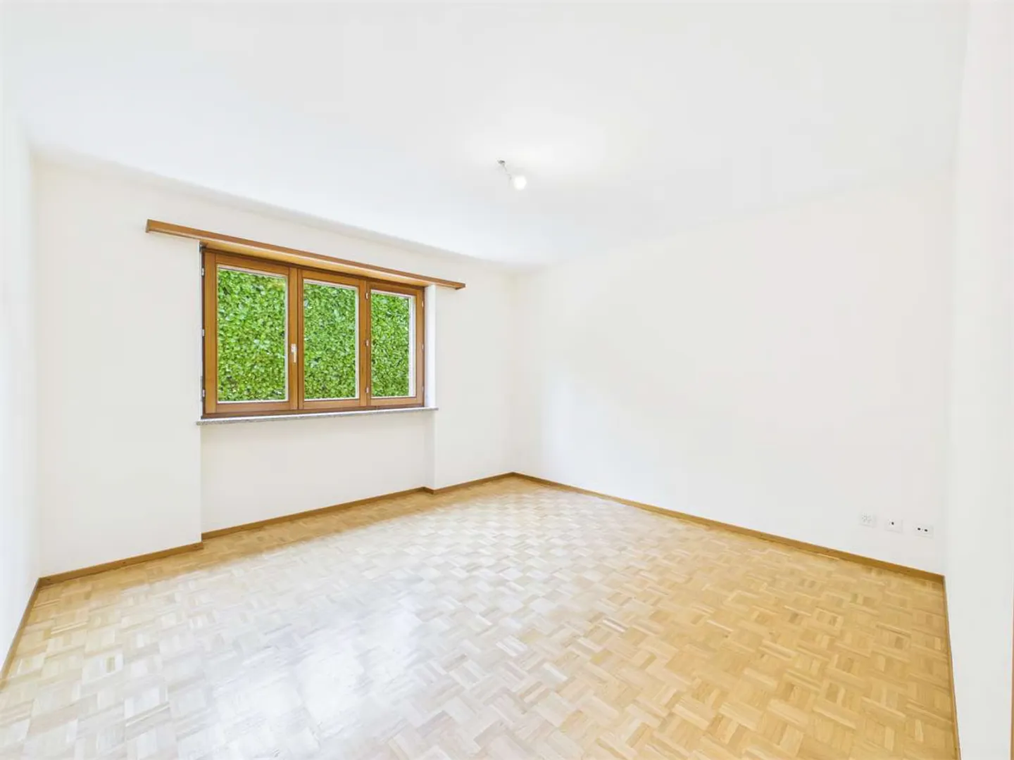 Renovated 4.5 Room Apartment - Photo 5 of 12