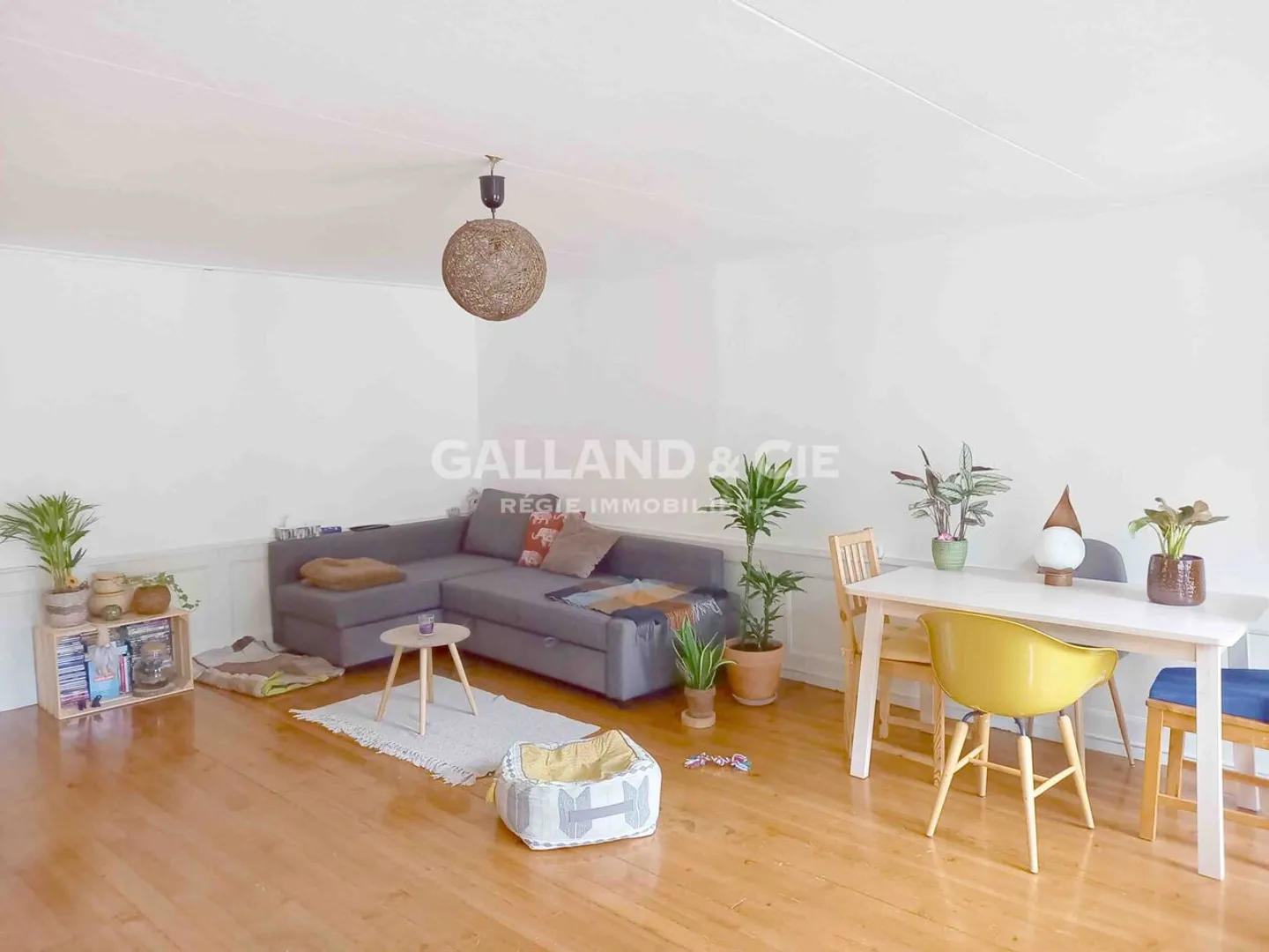 Appartement 1.5 pièces - Photo 2 sur 5