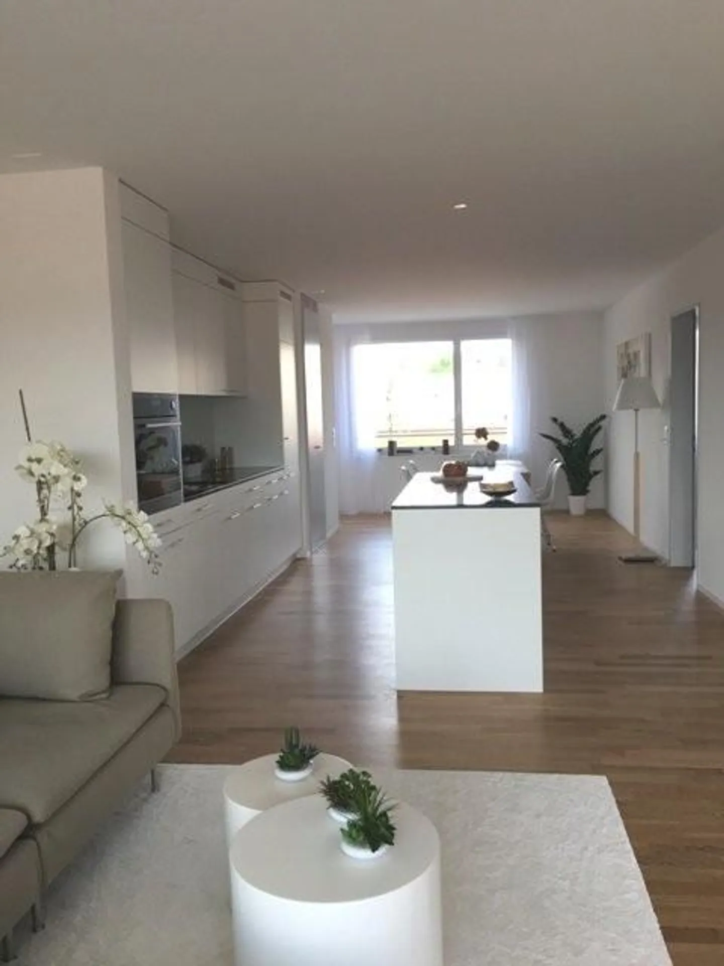 Beautiful apartment near the lake - Photo 4 of 10