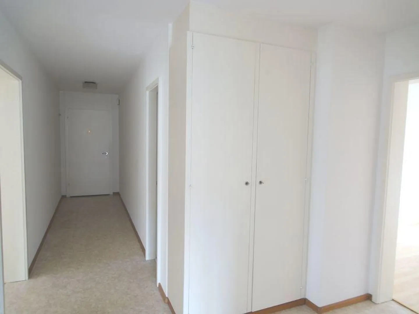 SPACIOUS APARTMENT NEAR STÄDLI LAUFEN - Photo 3 of 6