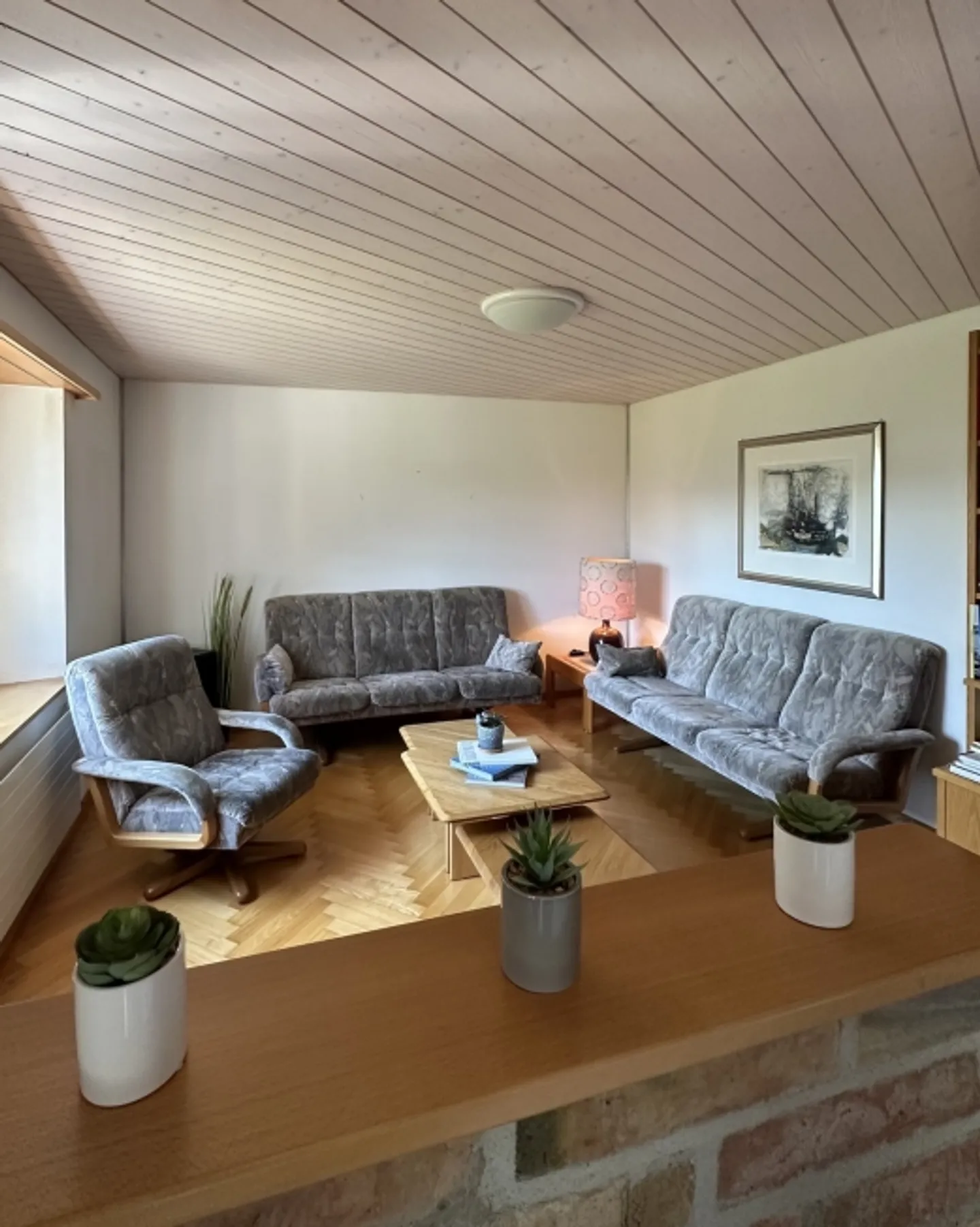 6 ROOM HOUSE IN NEUHAUSEN AM RHEINFALL (SH), FURNISHED, TEMPORARY - Photo 1 of 10