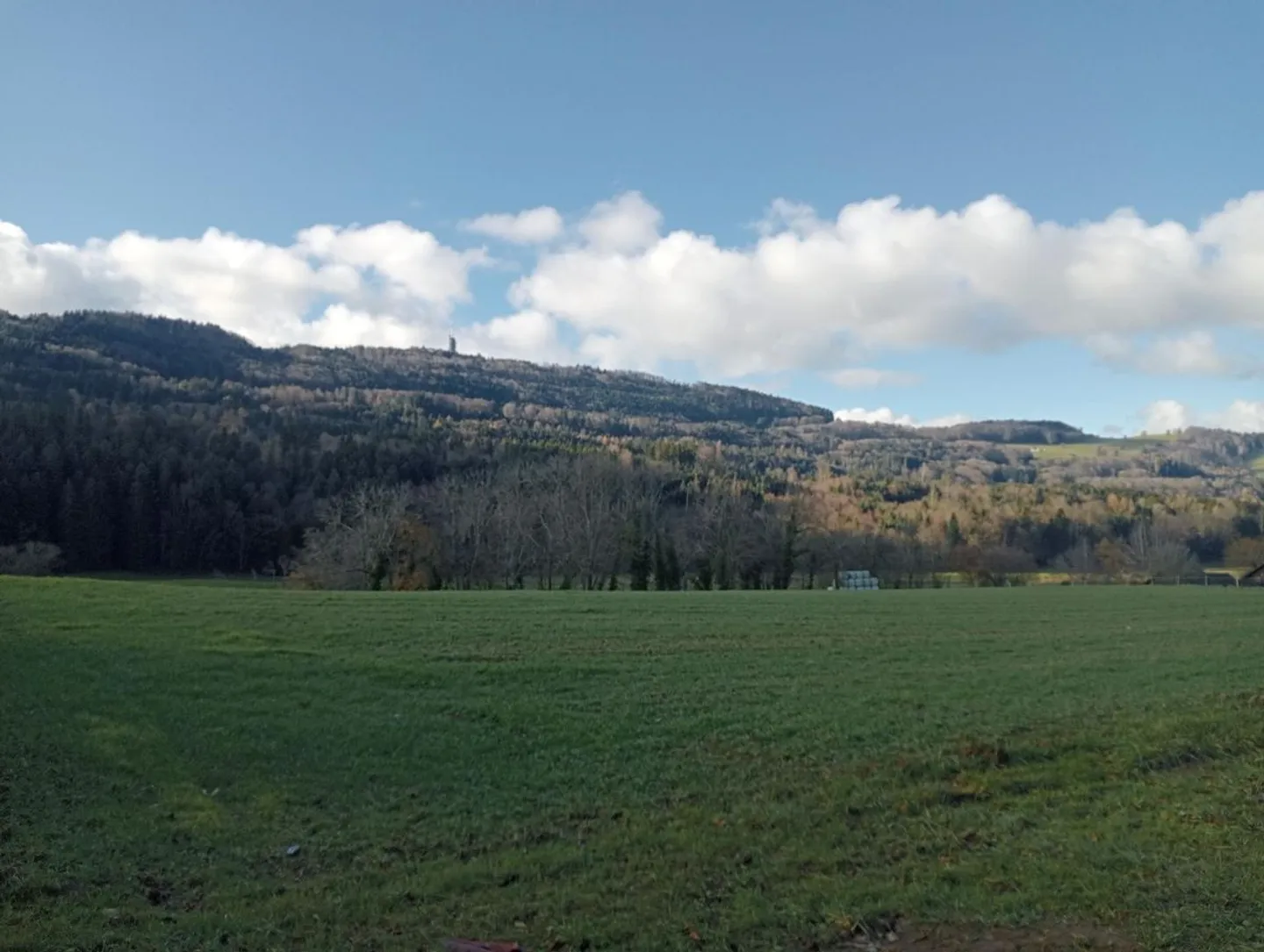 Villa indipendente 5 stanze - Foto 4 di 7