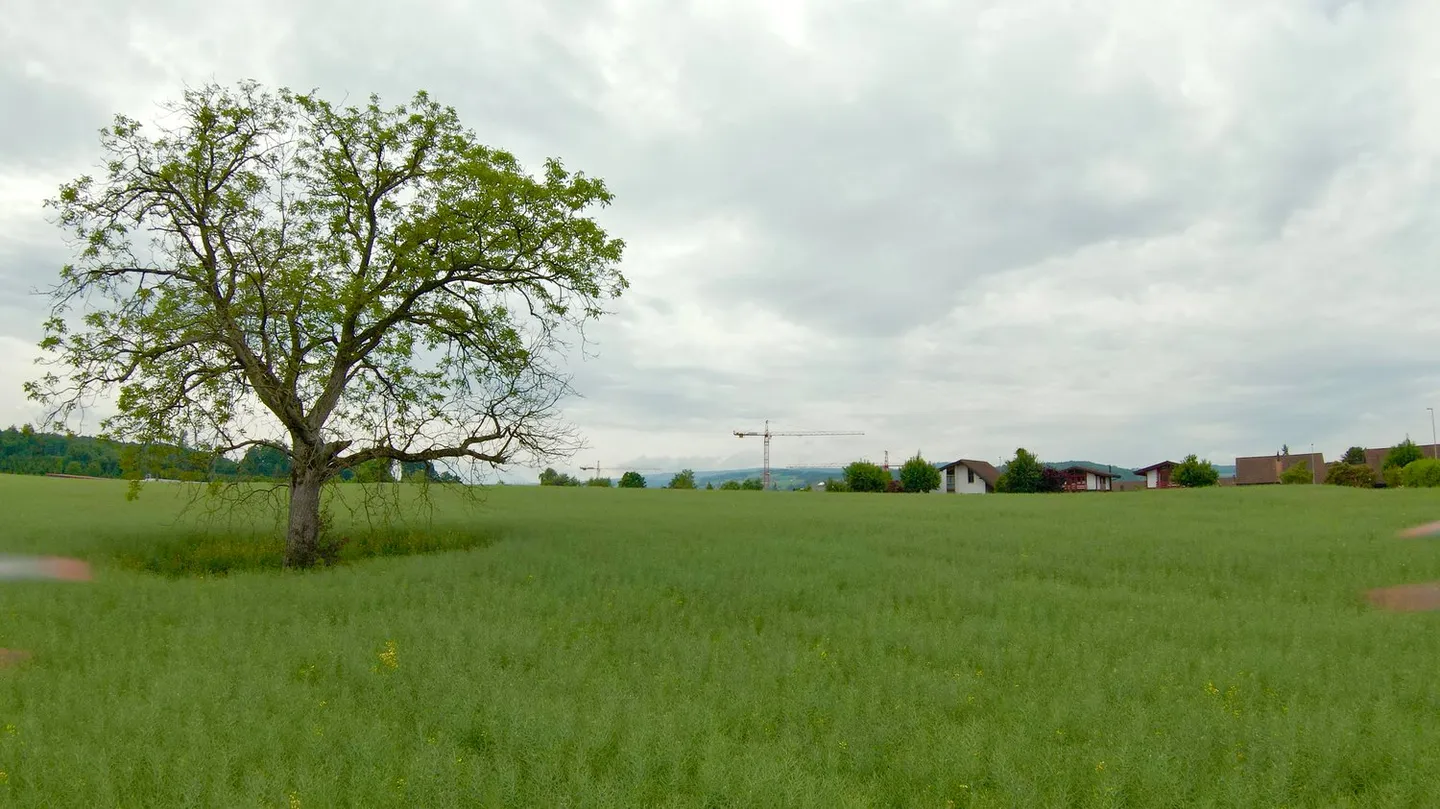 New Building House A - Photo 8 of 9